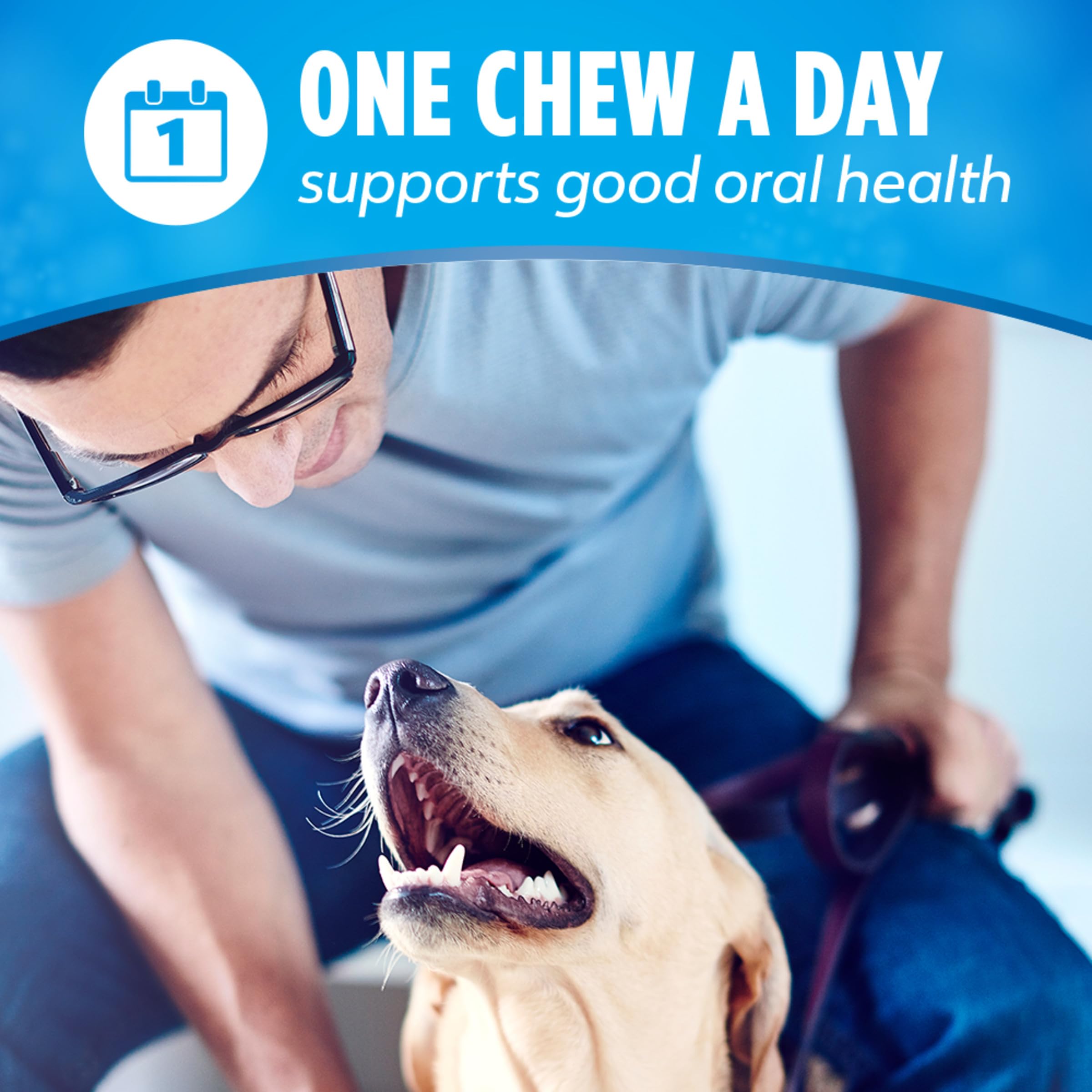 DentaLife Made in USA Facilities Small/Medium Dog Dental Chews, Daily - 40 ct. Pouch