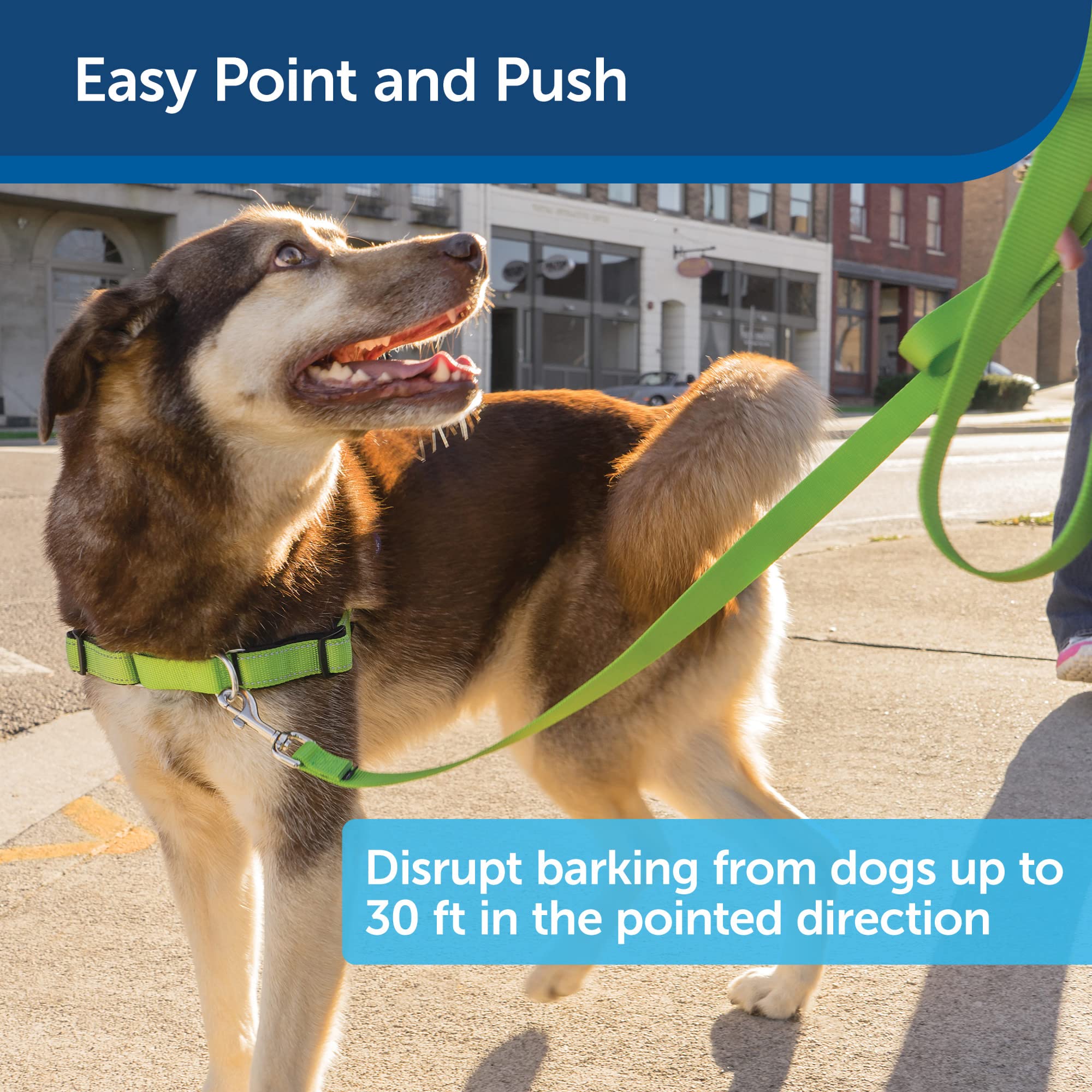 Petsafe, Collarless Ultrasonic Remote Trainer, Two Tone, Safe, Anti Bark, Black