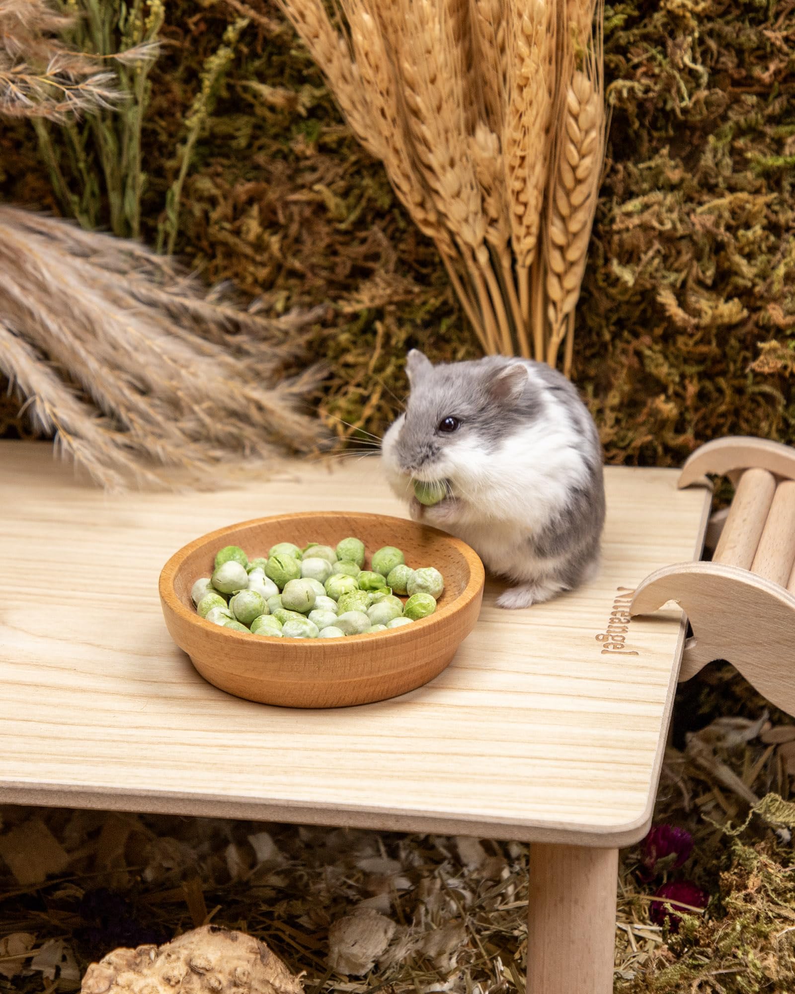 Niteangel Hamster Snack & Treats Toy - Small Animal Natural Treat for Dwarf Syrian Robo Hamsters Gerbils Mice Lemmings Degus or