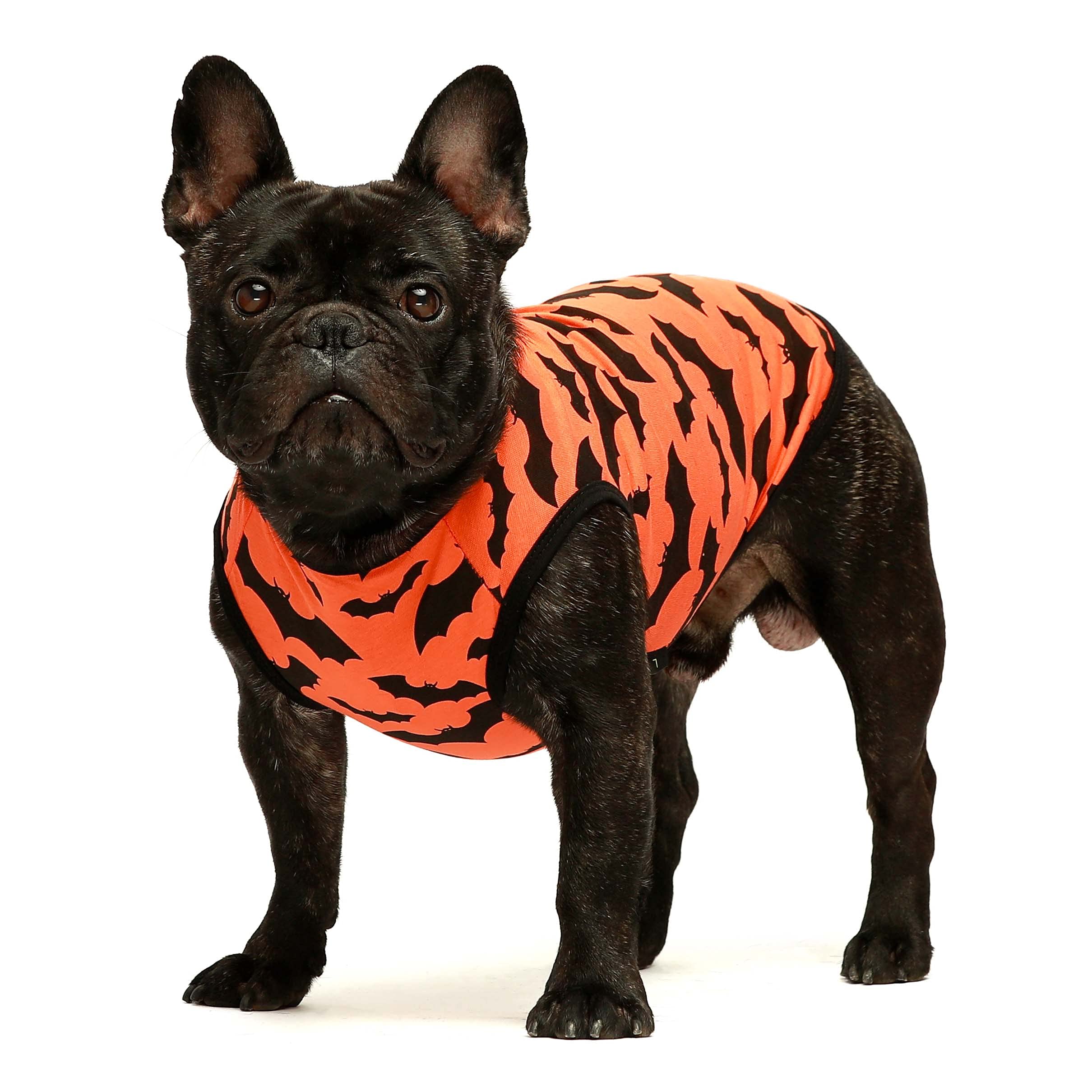 Fitwarm 100% Cotton Halloween Dog Clothes Scary Bat Dog Costumes Doggie Shirts Puppy Shirt Pet Vest Tank Top Cat Tee Orange X-Sm