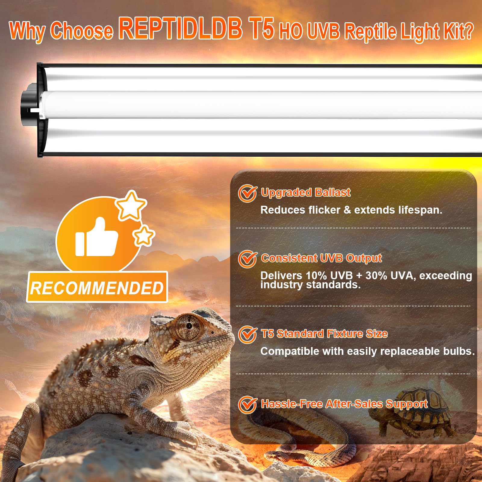 Reptidldb 8W T5 10.0 Uvb Reptile Light Fixture 12'' - High Output Uva Uvb Light For Bearded Dragons, Turtles & Snakes - Compact