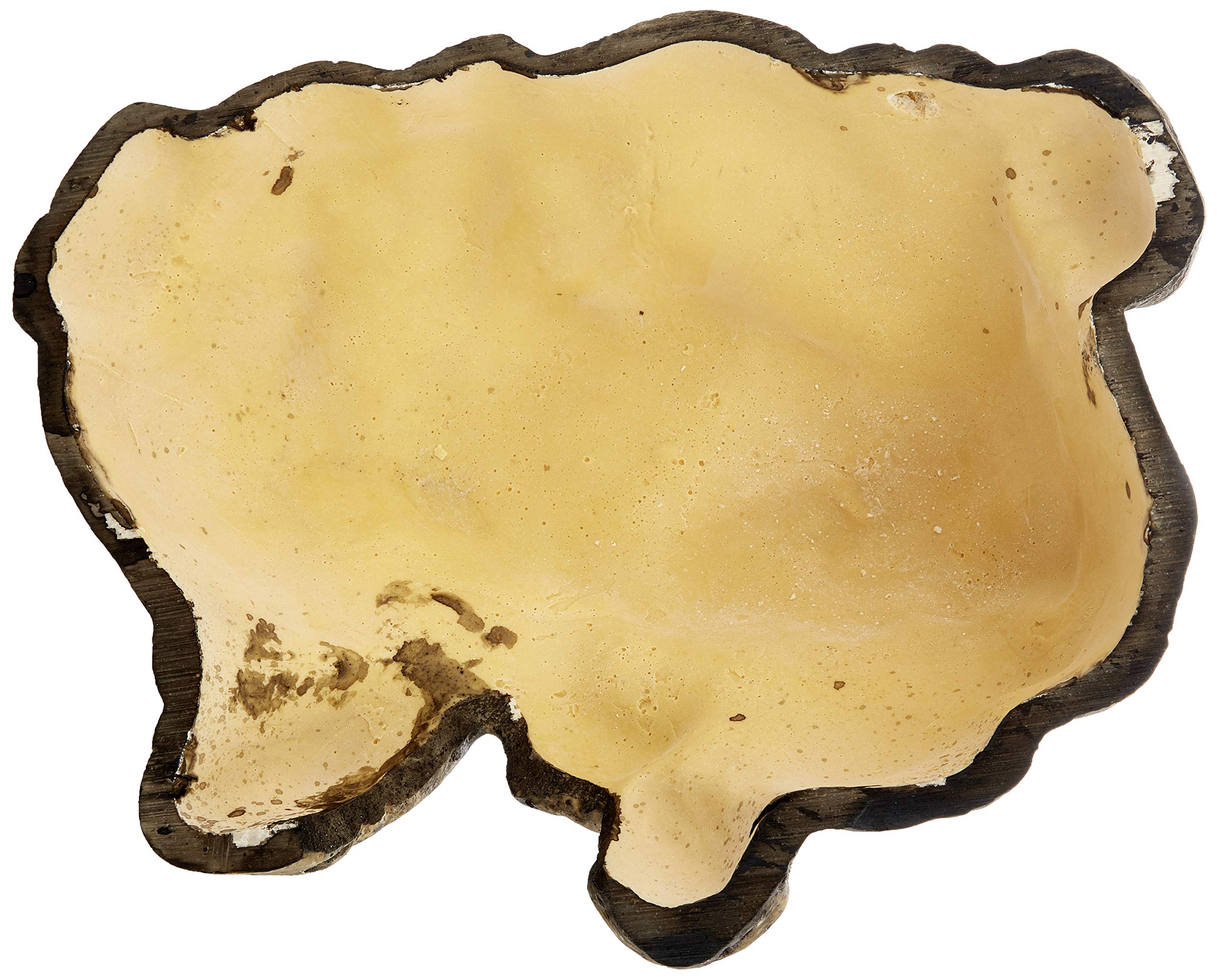 Exo Terra Reptile Cave - Large