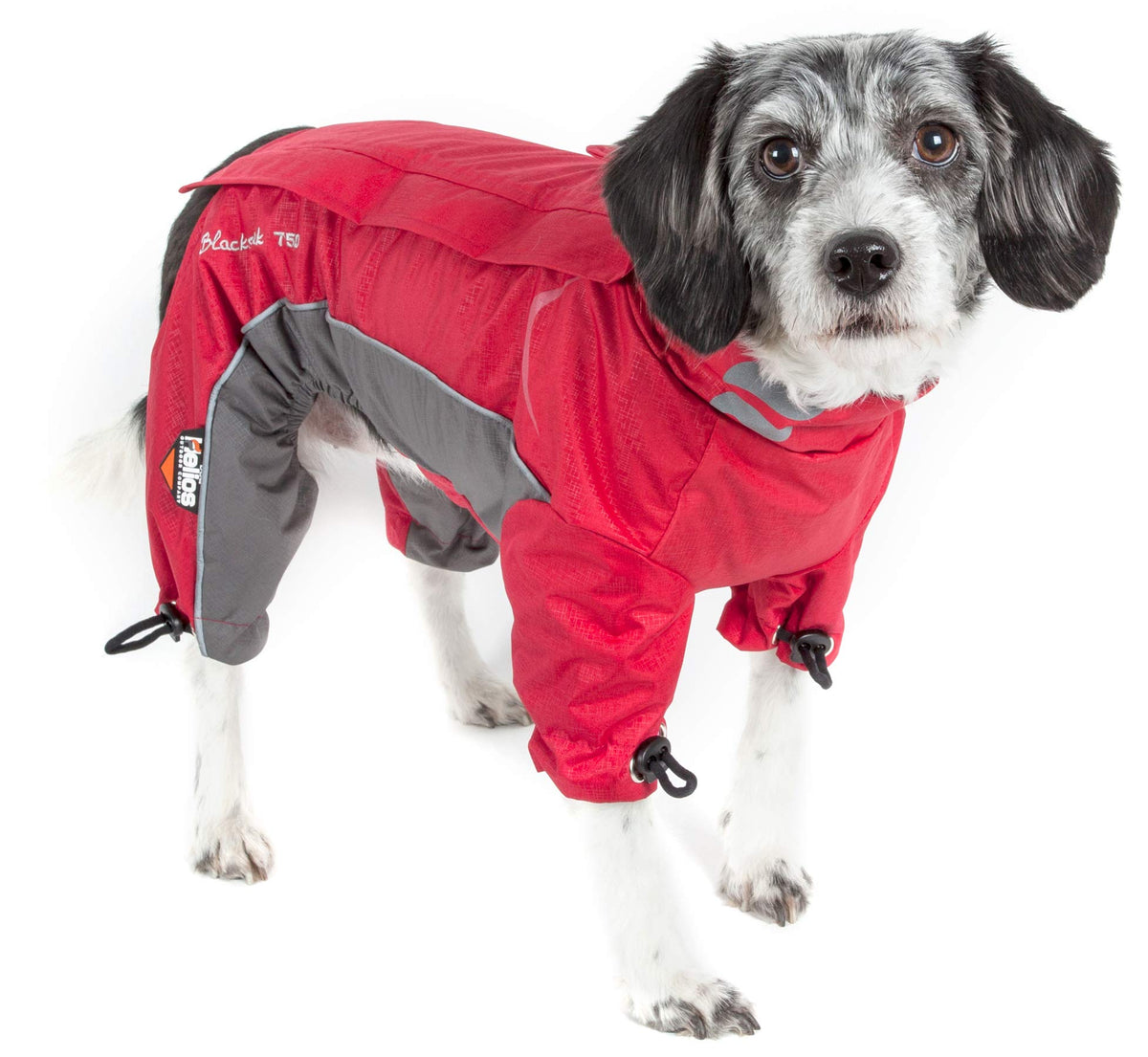 DOGHELIOS 'Blizzard' Full-Bodied Comfort-Fitted Adjustable and 3M Reflective Winter Insulated Pet Dog Coat Jacket w/ Blackshark Technology, Medium, Cola Red