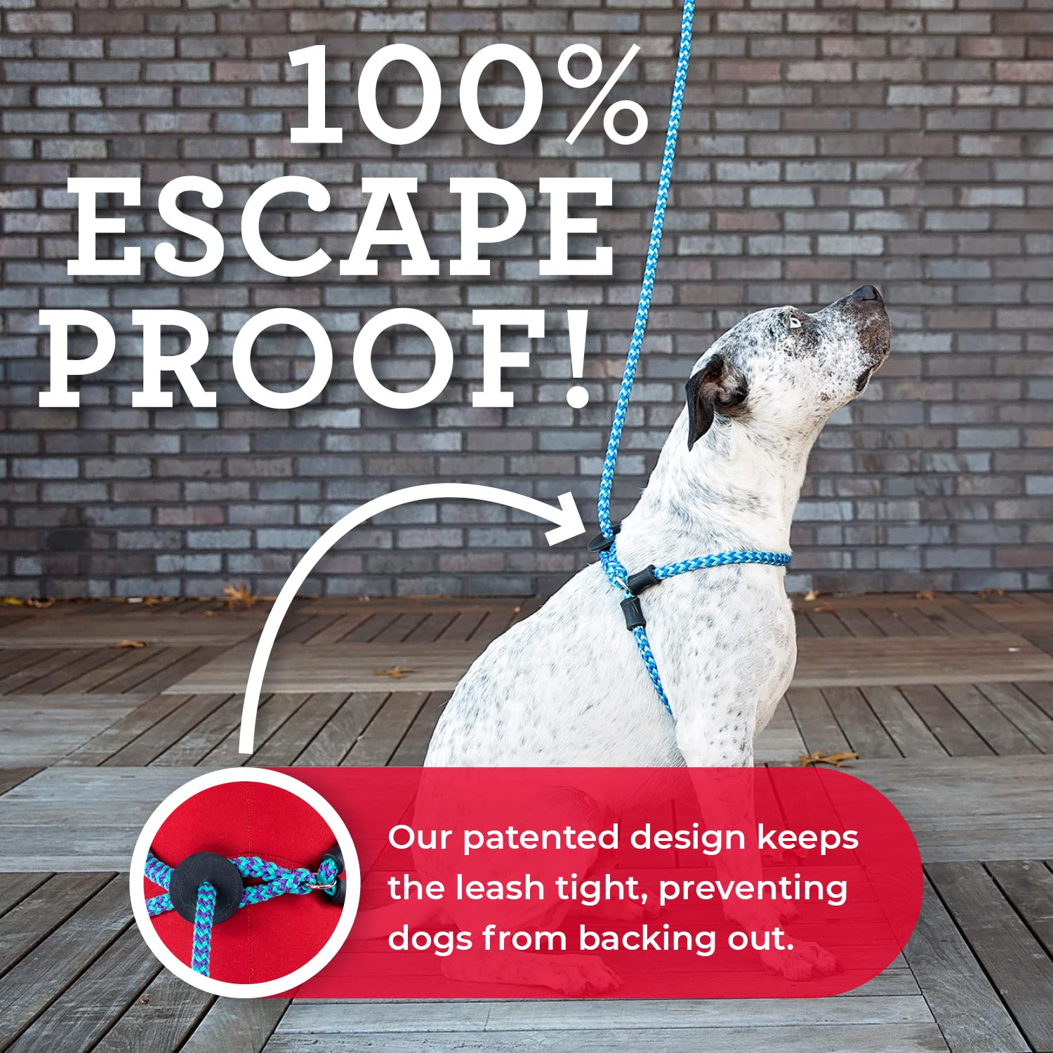 Harness Lead No Pull Dog Harness And Leash Set, Anti Pull Dog Harness For All Breeds And Sizes, One-Piece Cushioned Rope Design Safely Prevents Escaping And Pulling (Medium/Large, Black/Reflective)