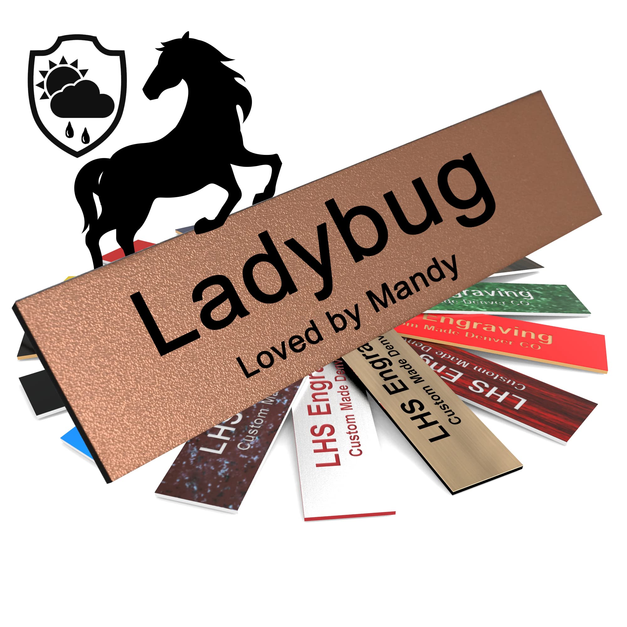 Lhs | Horse Stall Name Plate, 2X10 Personalized Stall Signs, Uv Protected, All Weather Adhesive, Hanging, Mounting Or Other, Tex