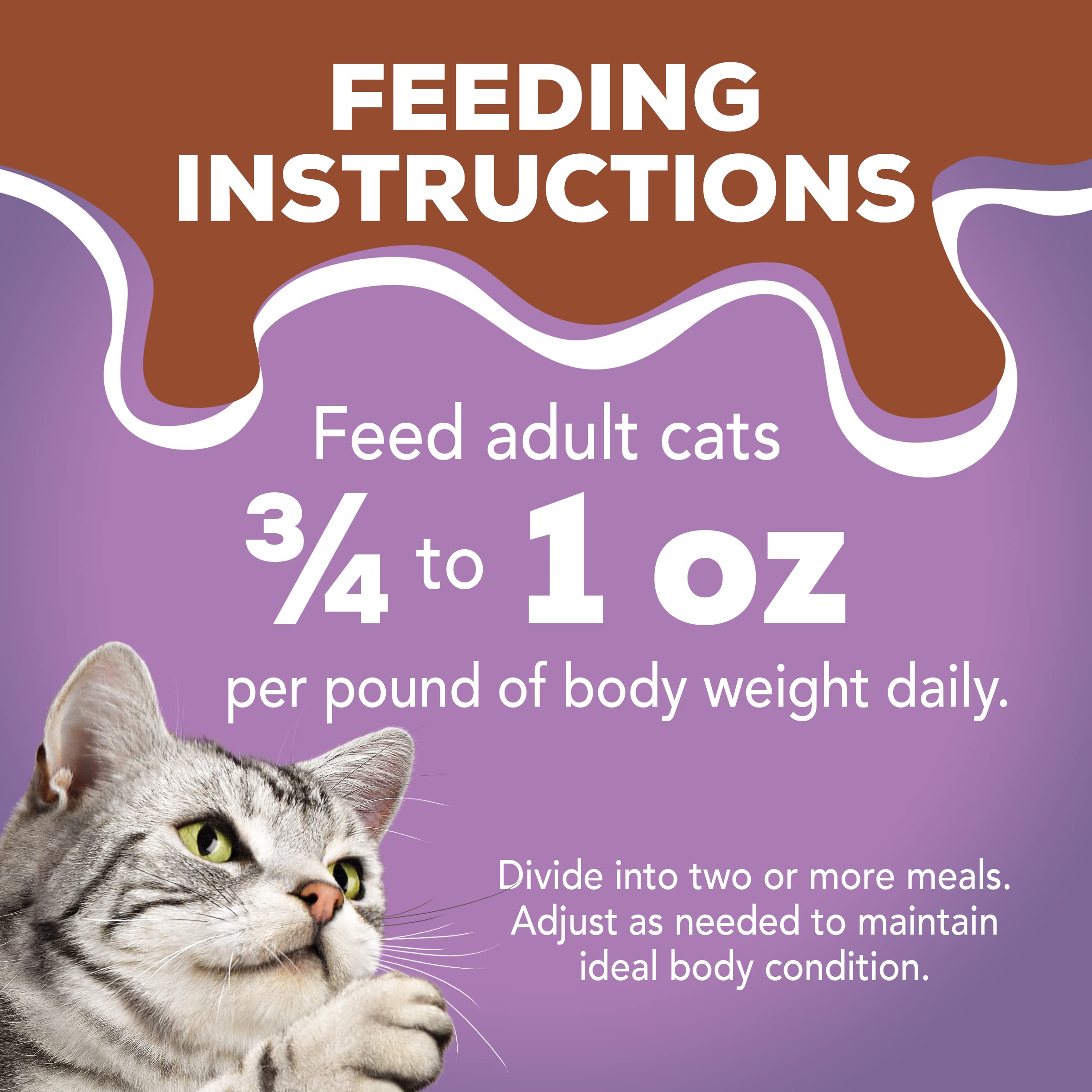 Purina Friskies Wet Cat Food Pate With Turkey in Savory Gravy - Extra Gravy (Pack of 24) 5.5 oz. Cans