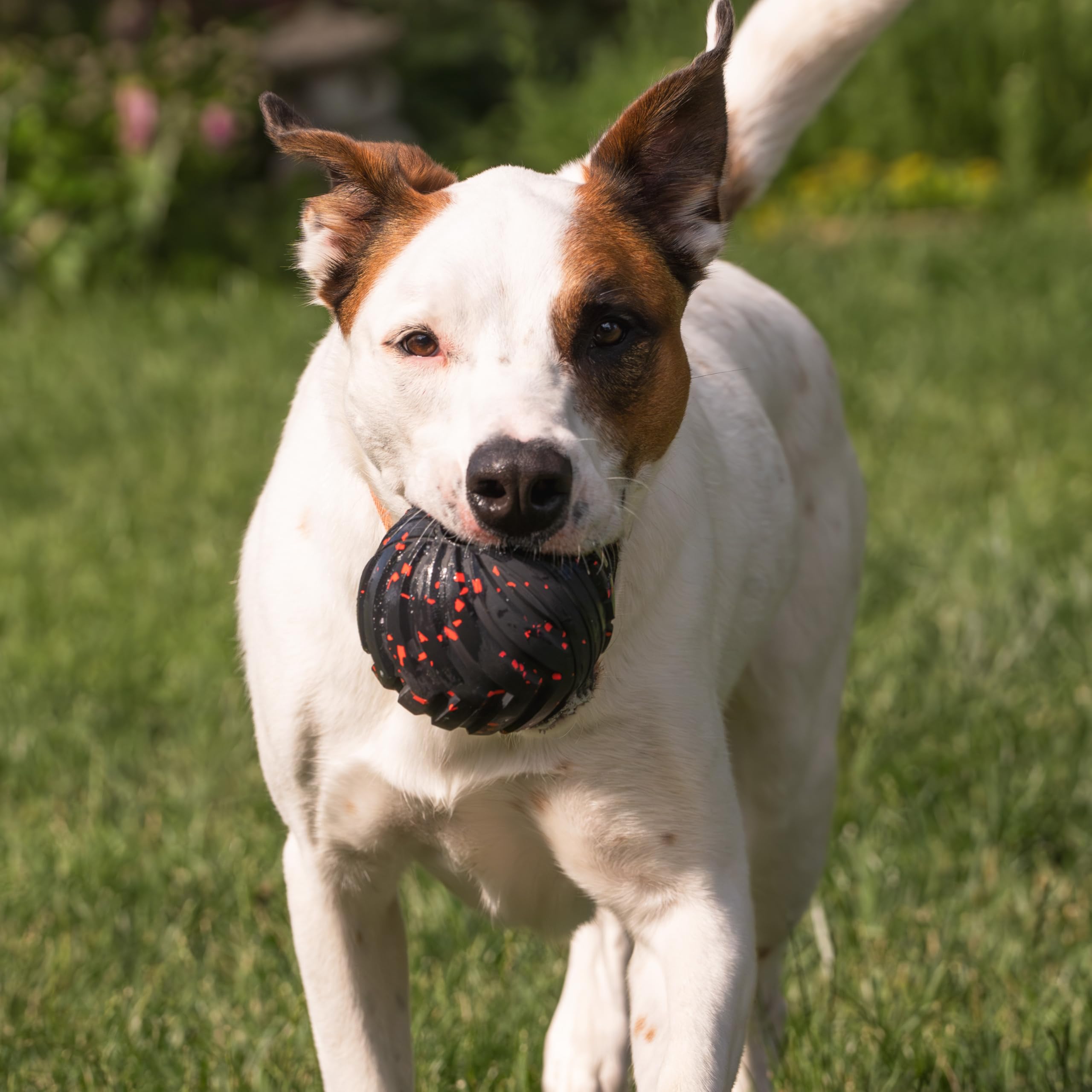 Chew King Supreme Dog Toy Collection, Large 4'' Supreme Fetch Ball