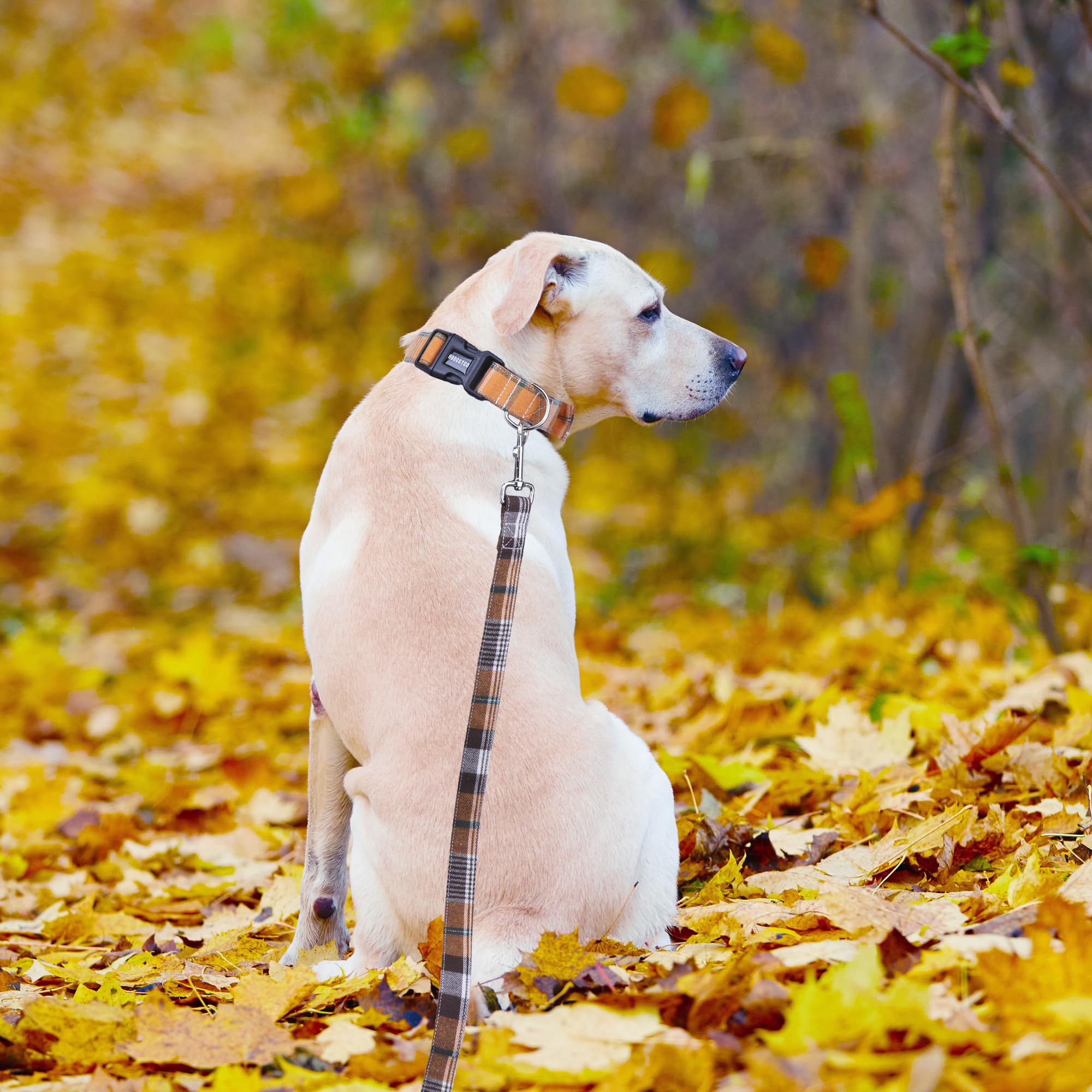 Adoggygo Fall Dog Collar With Leash, Halloween Thanksgiving Dog Bowtie Collar, Adjustable Orange Plaid Dog Fall Collar Leash For Small Medium Large Dogs Pets (Large)