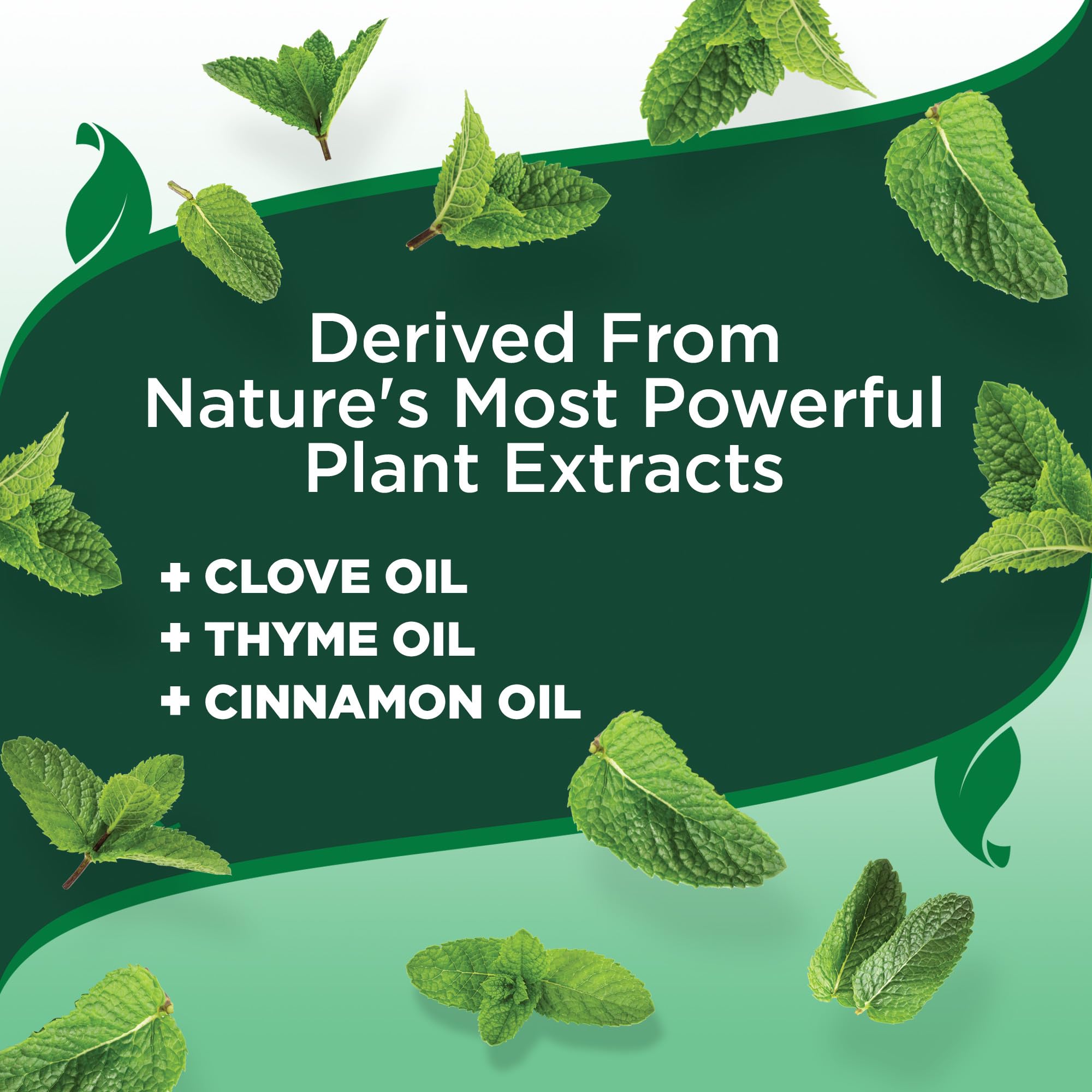 Vets Best Natural Flea and Tick Drops for Medium Dogs - Plant-Based Spot-On Treatment with Certified Essential Oils - Topical F