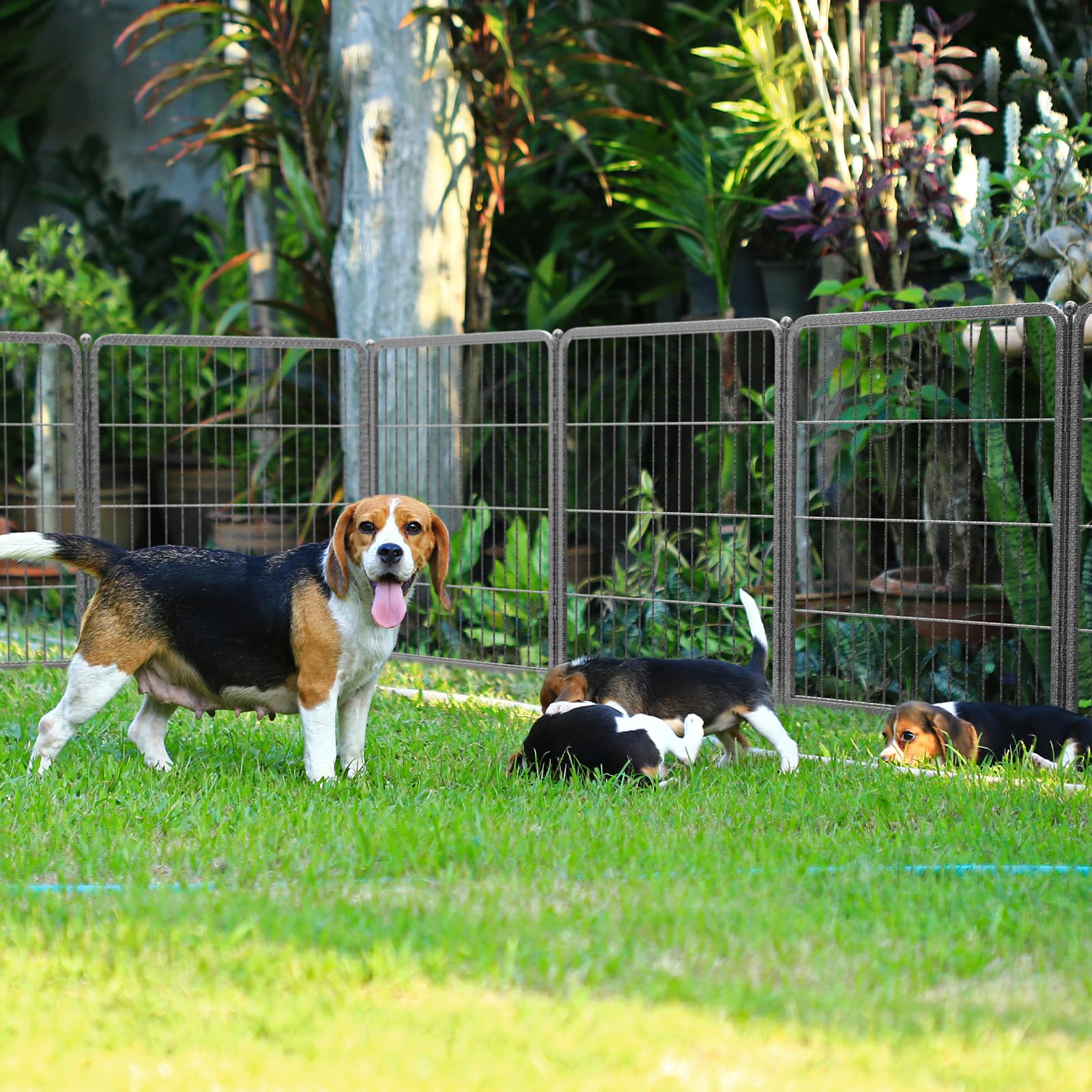 Fxw Aster Dog Playpen Designed For Yard, 16 Panels