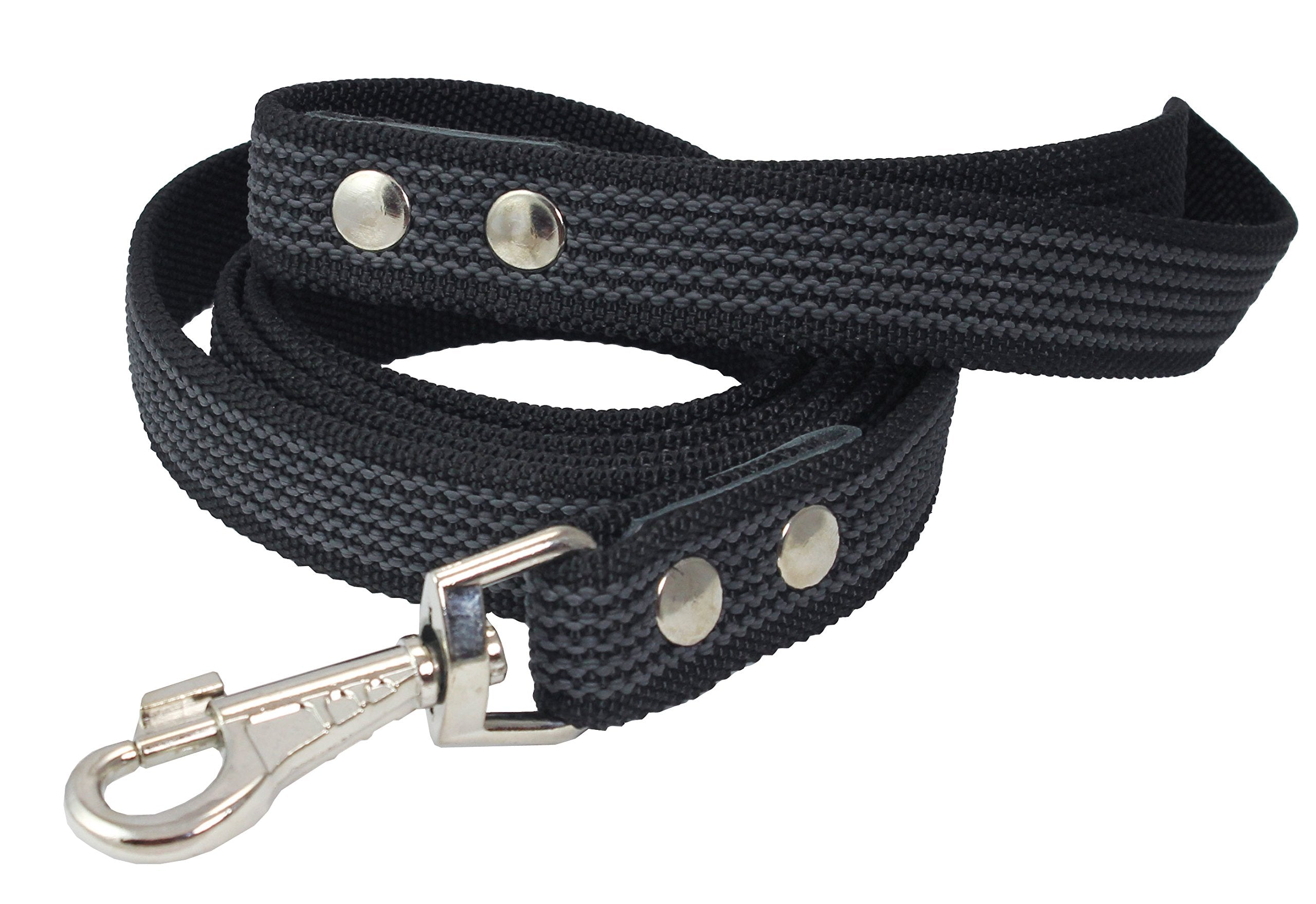 6Ft Latex Enforced Dog Leash (Large (1' Wide))