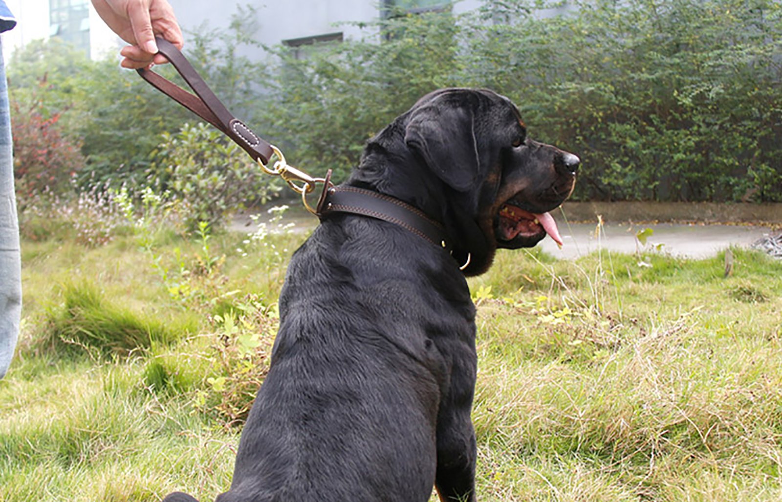 Fairwin Leather Short Dog Leash 12' - Short Dog Traffic Lead Leash For Large Dogs Training And Walking (Width: 3/4') (Brown-New)