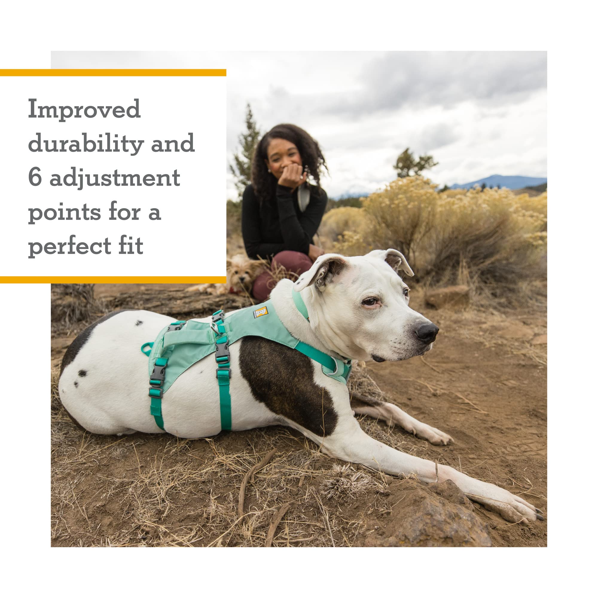 Ruffwear, Flagline Dog Harness, Lightweight Lift-And-Assist Harness With Padded Handle, Sage Green, Large/X-Large