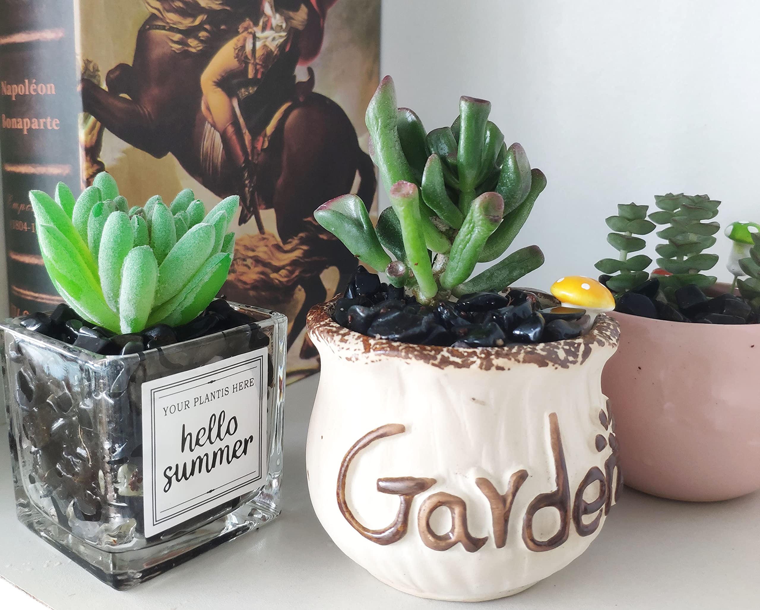 Duqguho Decorative Rocks Aquarium Gravel Obsidian Crystals Bulk Rocks Gravel For Plants Terrarium Supplies Little Fish Tank Gravel Pebbles Vase Filler 0.44 Lbs