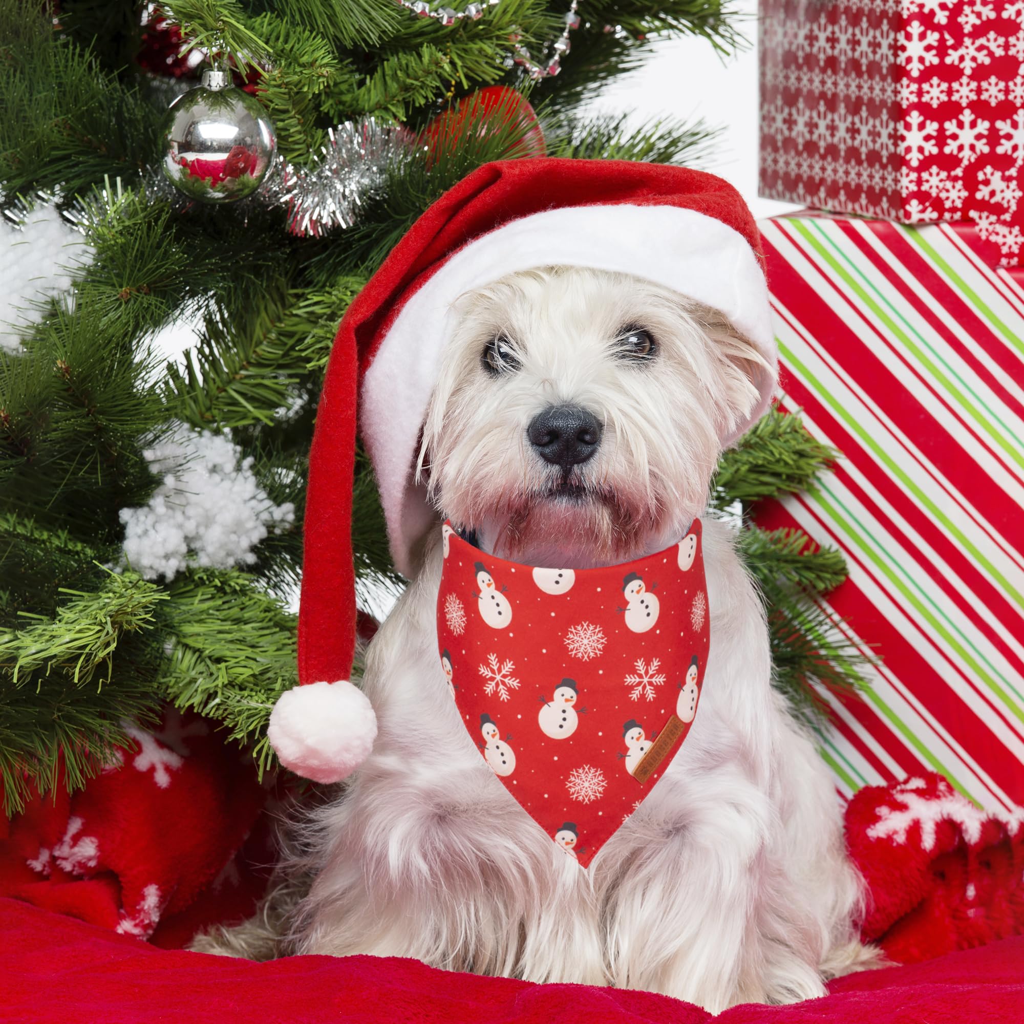 Adoggygo Christmas Dog Bandana, Snowman Xmas Pet Scarf, Premium Durable Fabric, Christmas Bandanas For Small Dogs Pets (Small)