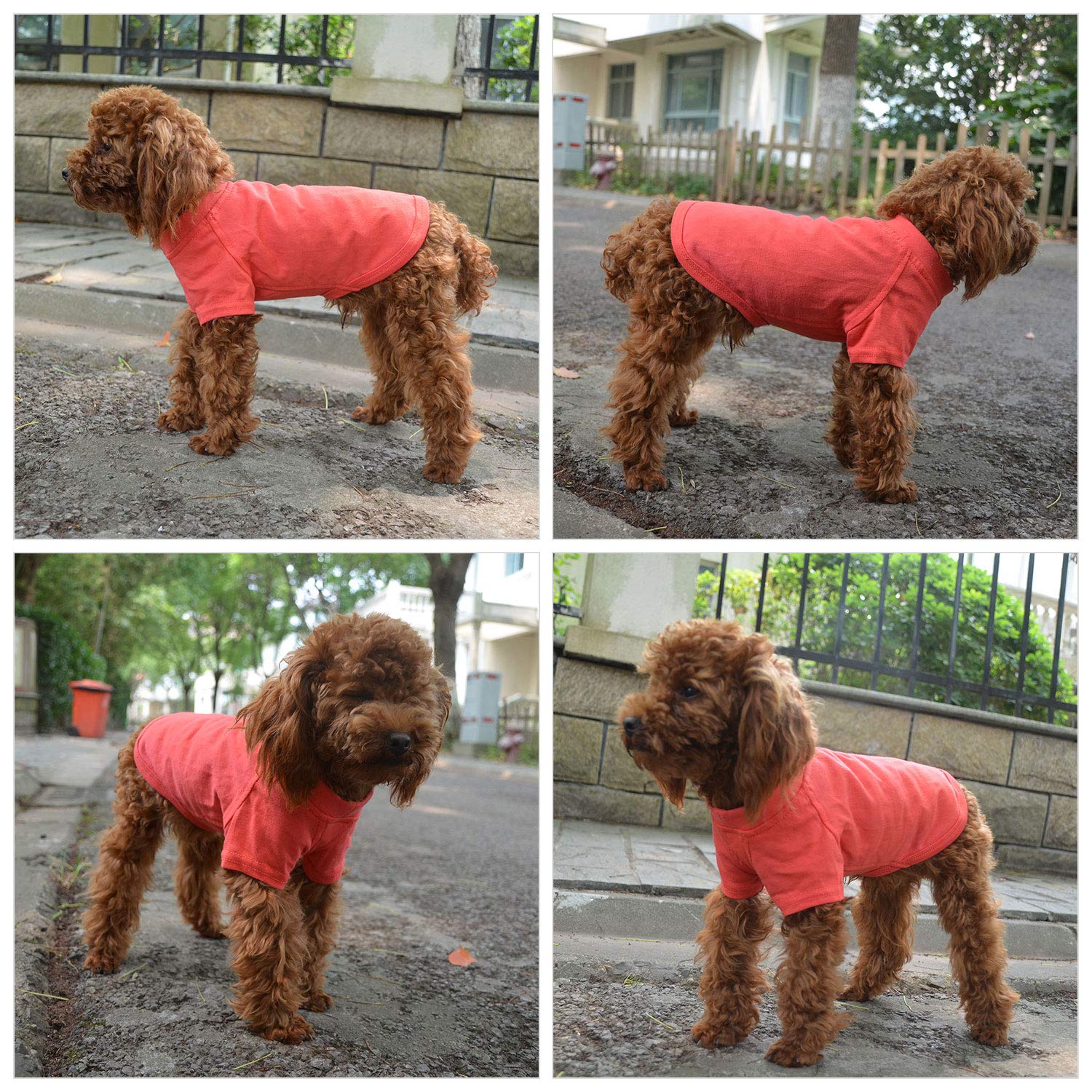 Lovelonglong Pet Clothing Dog Costumes Basic Blank T-Shirt Tee Shirts for Medium Dogs Lobster Pink XXL