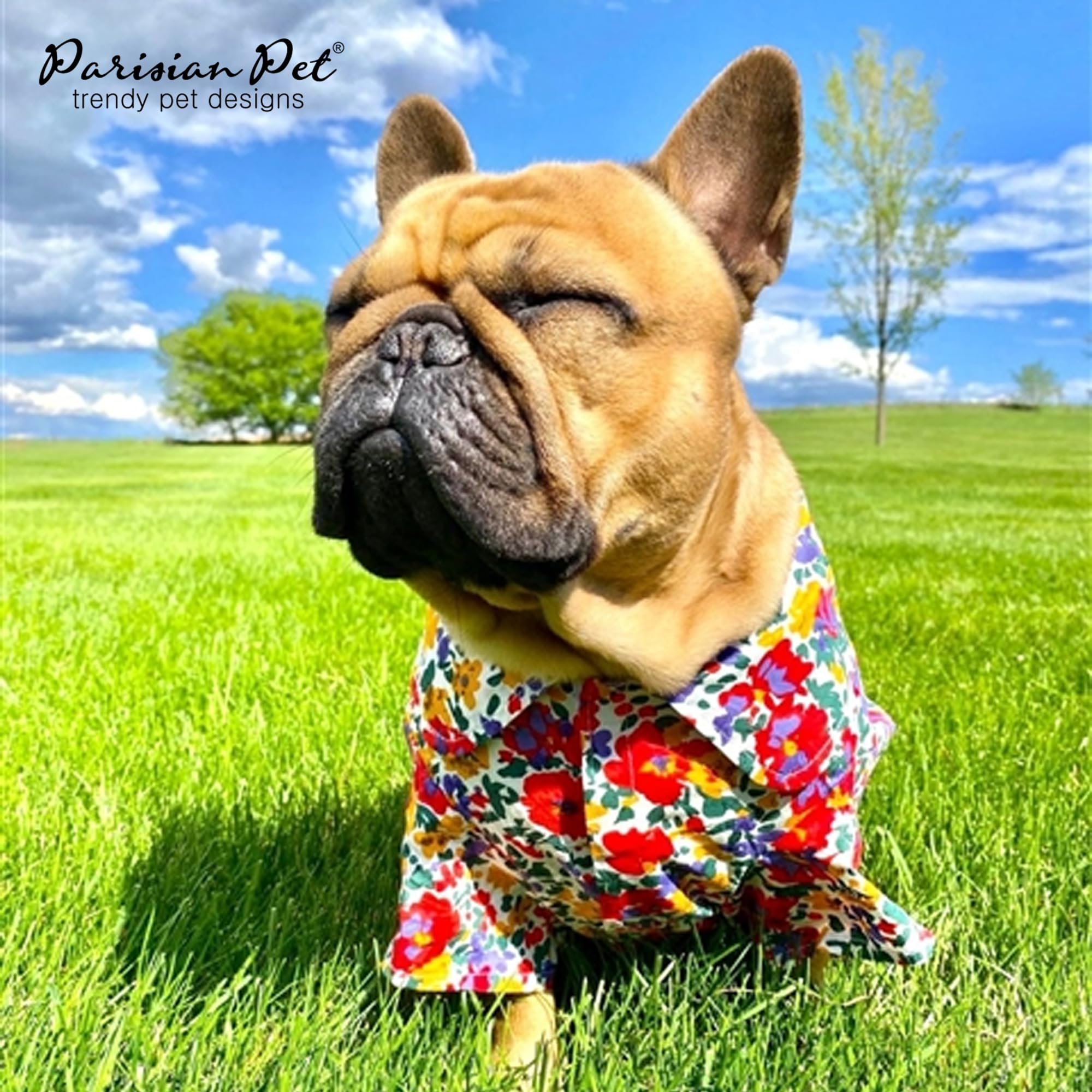 Parisian Pet Floral Dog Shirt - 100% Cotton Summer Clothes - Stylish Beach Outfit - Hook And Loop Closure - Machine Washable - 2