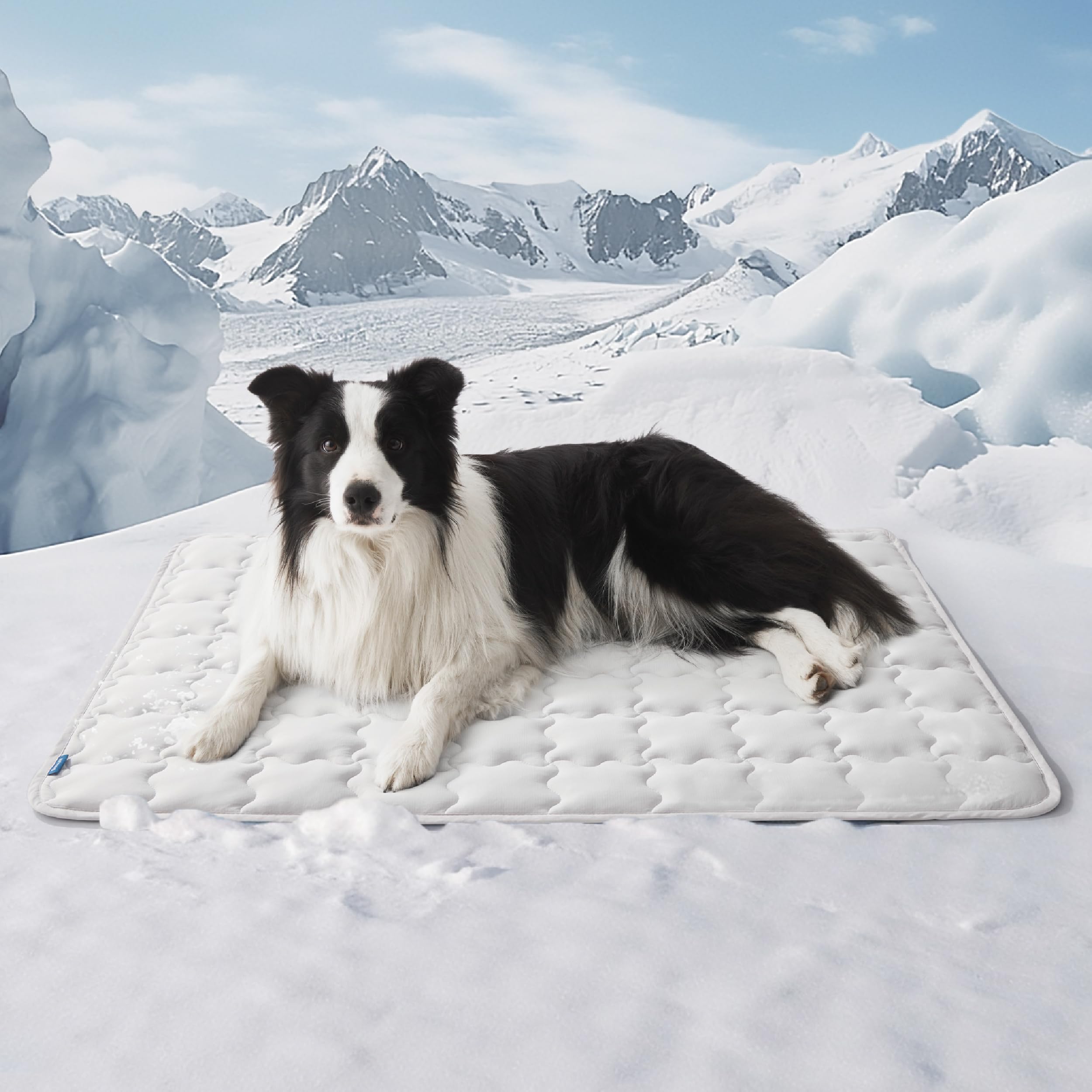 Bedsure Cooling Mat For Large Dogs - 41X28 Thin Washable Cooling Pet Pad For Puppy, Qmax>0.5, Xl Portable Kennel Puppy Bed For S