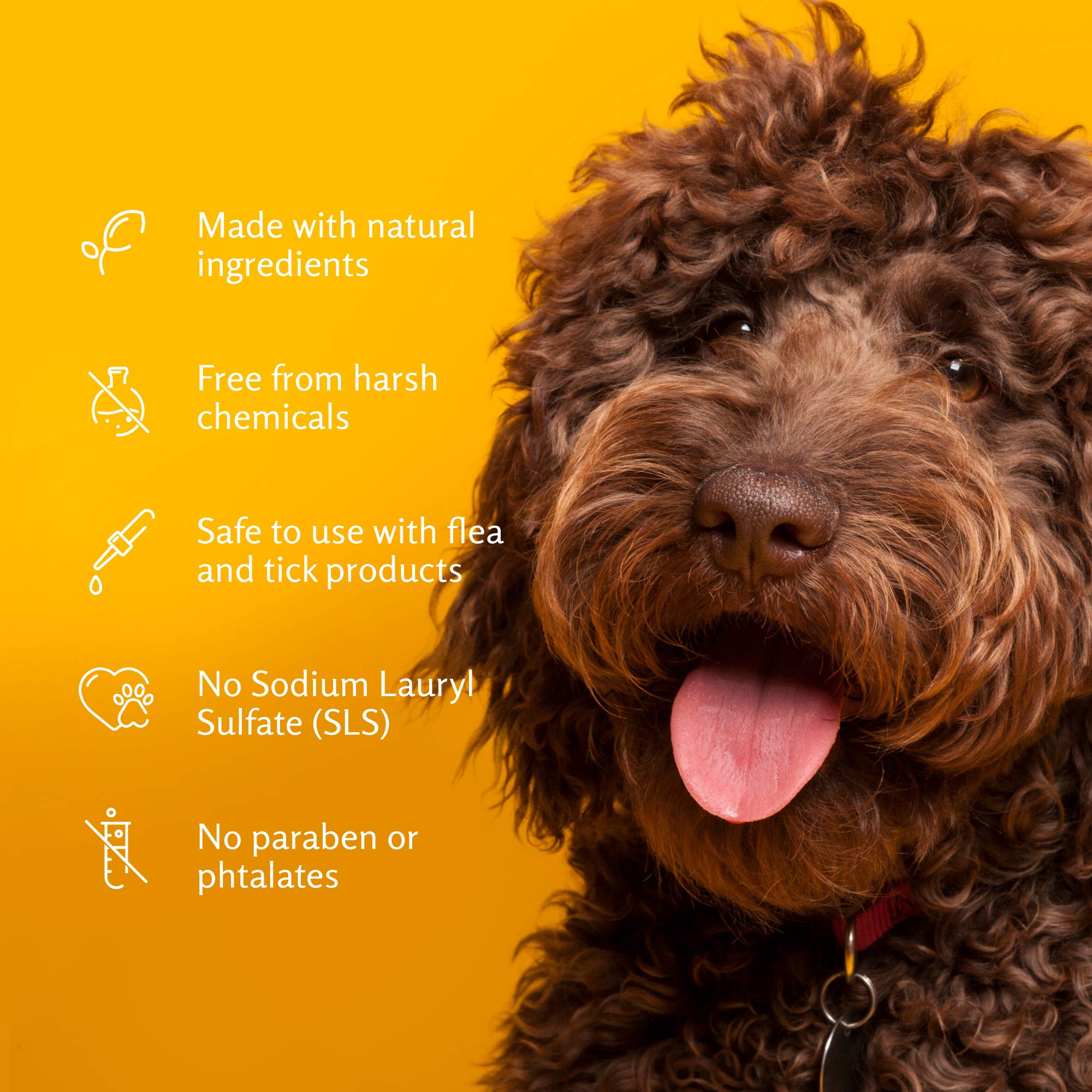 Arm & Hammer for Pets Tearless Puppy Shampoo | Gentle & Effective Tearless Shampoo for All Dogs & Puppies | Coconut Water Scent