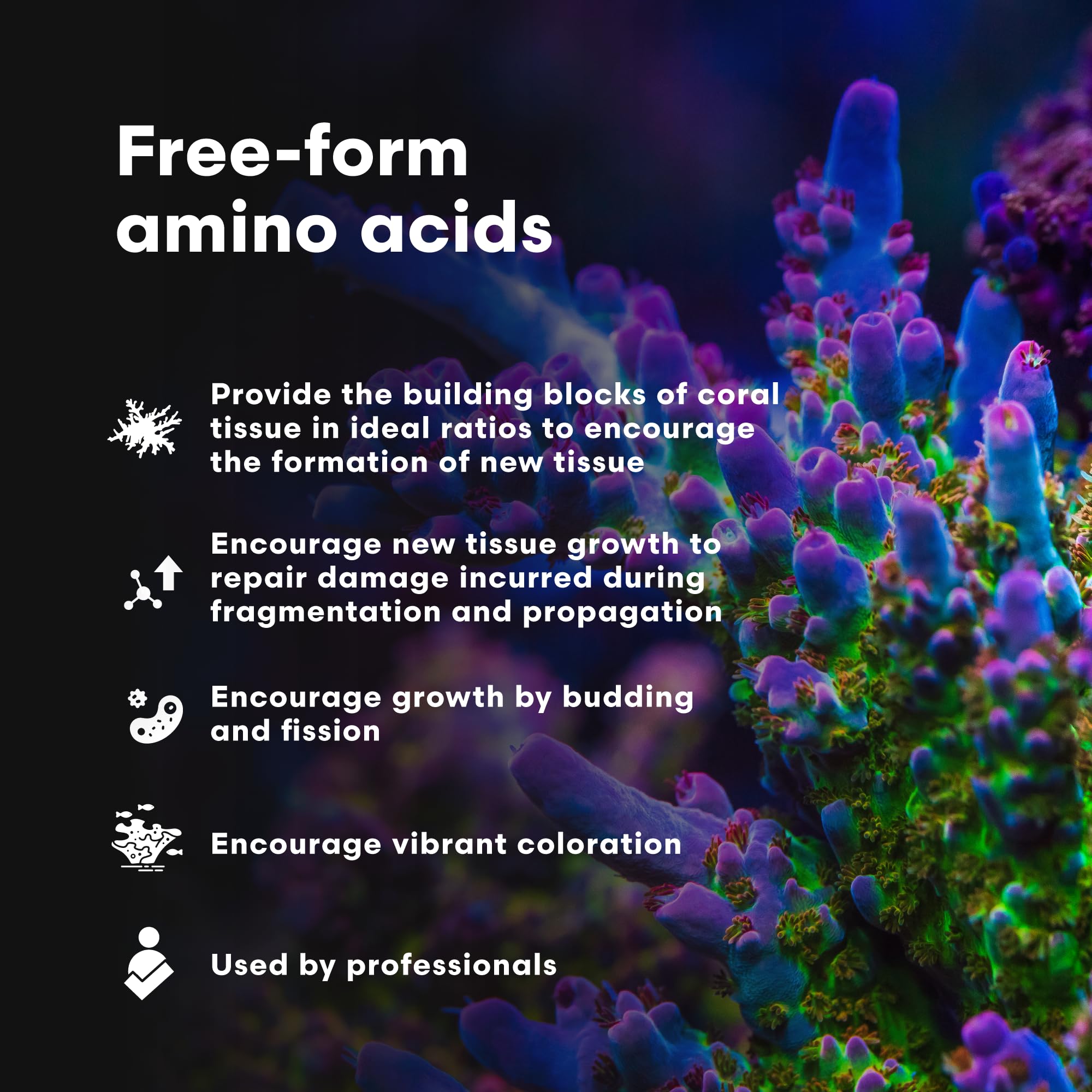 Brightwell Aquatics CoralAmino - Complex of Amino Acids for Corals - Coral Food for Aquarium Coral Growth - Saltwater Aquarium T
