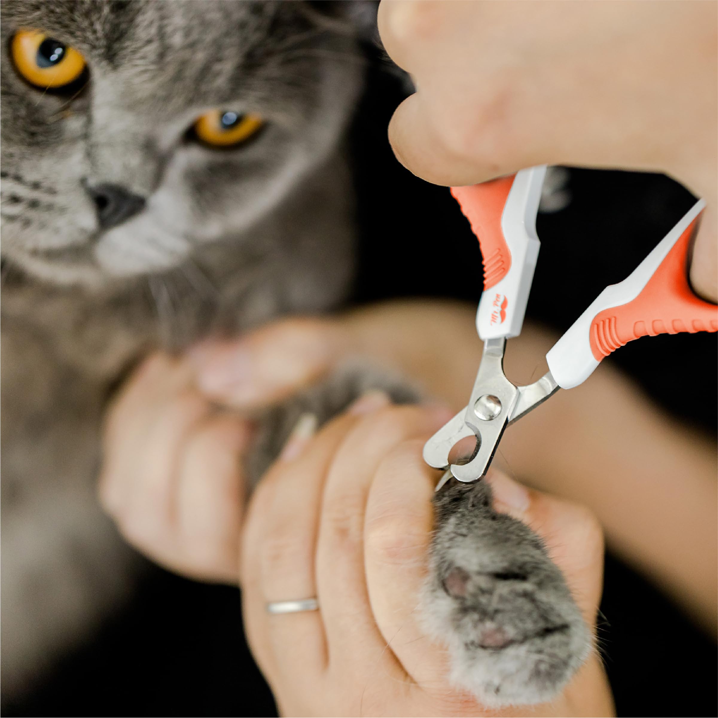 Mr. Pen- Cat Nail Clipper, Orange, Cat Nail Trimmer, Cat Nail Clippers, Cat Claw Clippers, Cat Clippers For Nails, Pet Nail Clippers, Kitten Nail Clipper, Small Dog Nail Clipper, Cat Claw Trimmer