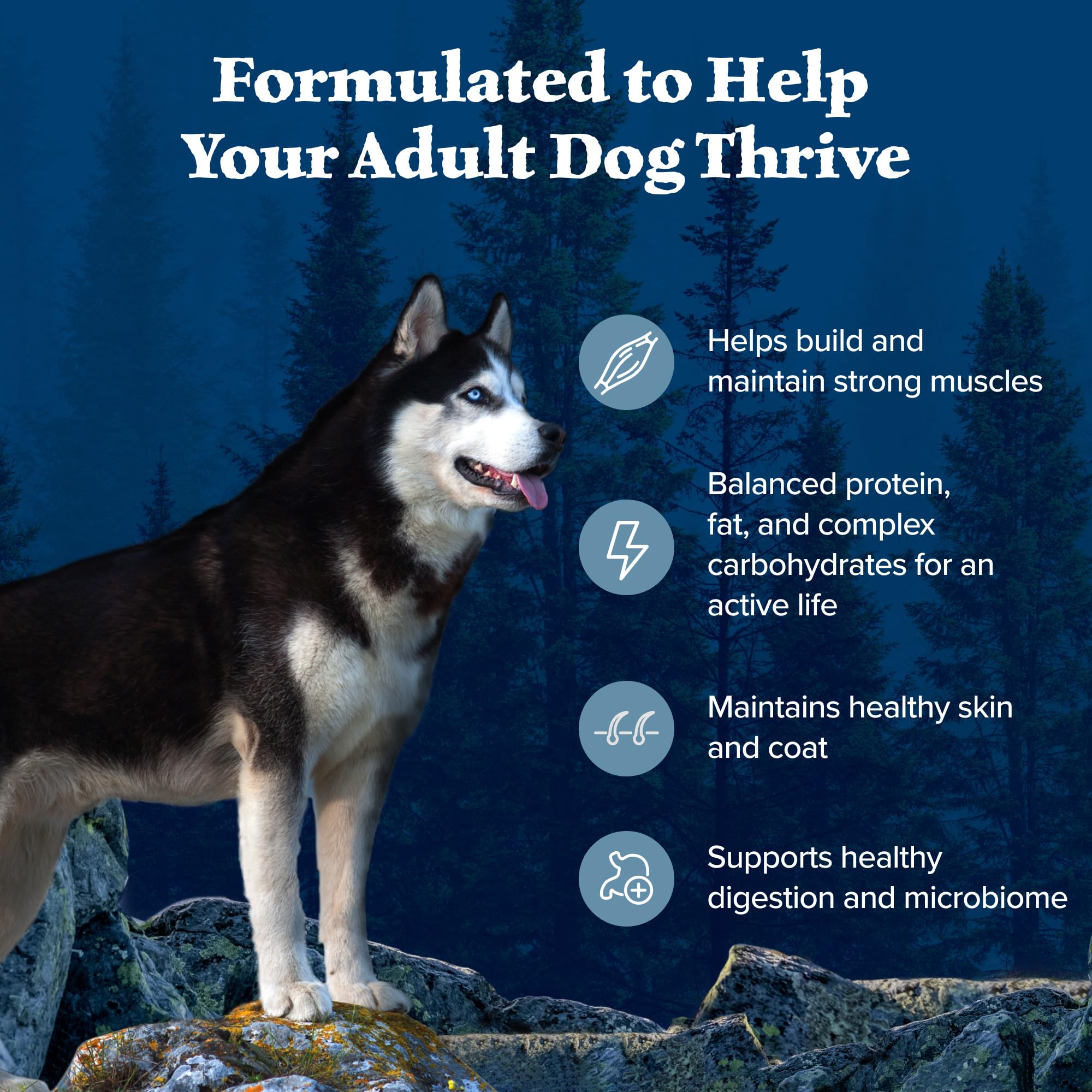Blue Buffalo Wilderness Adult High-Protein Dry Dog Food with Real Chicken, Grain-Free, Made in the USA with Natural Ingredients,
