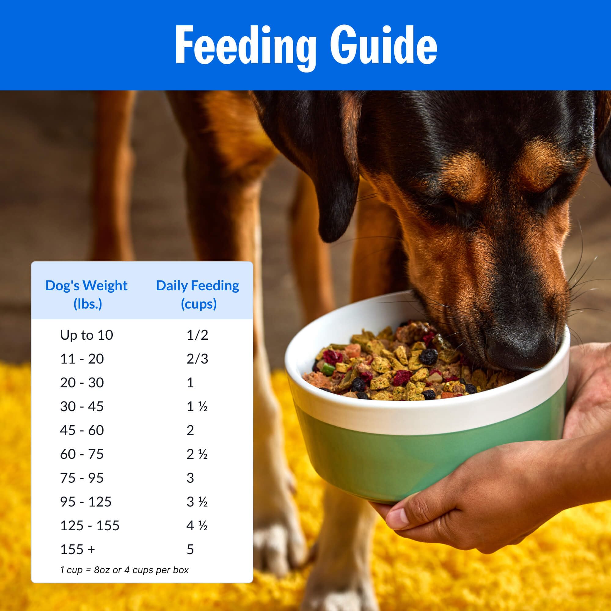 PetPlate Roost Rulin Chicken FreshBaked Dry Dog Food, Gently Baked and Air-Dried Human Grade Dog Food, Formulated with Prebioti