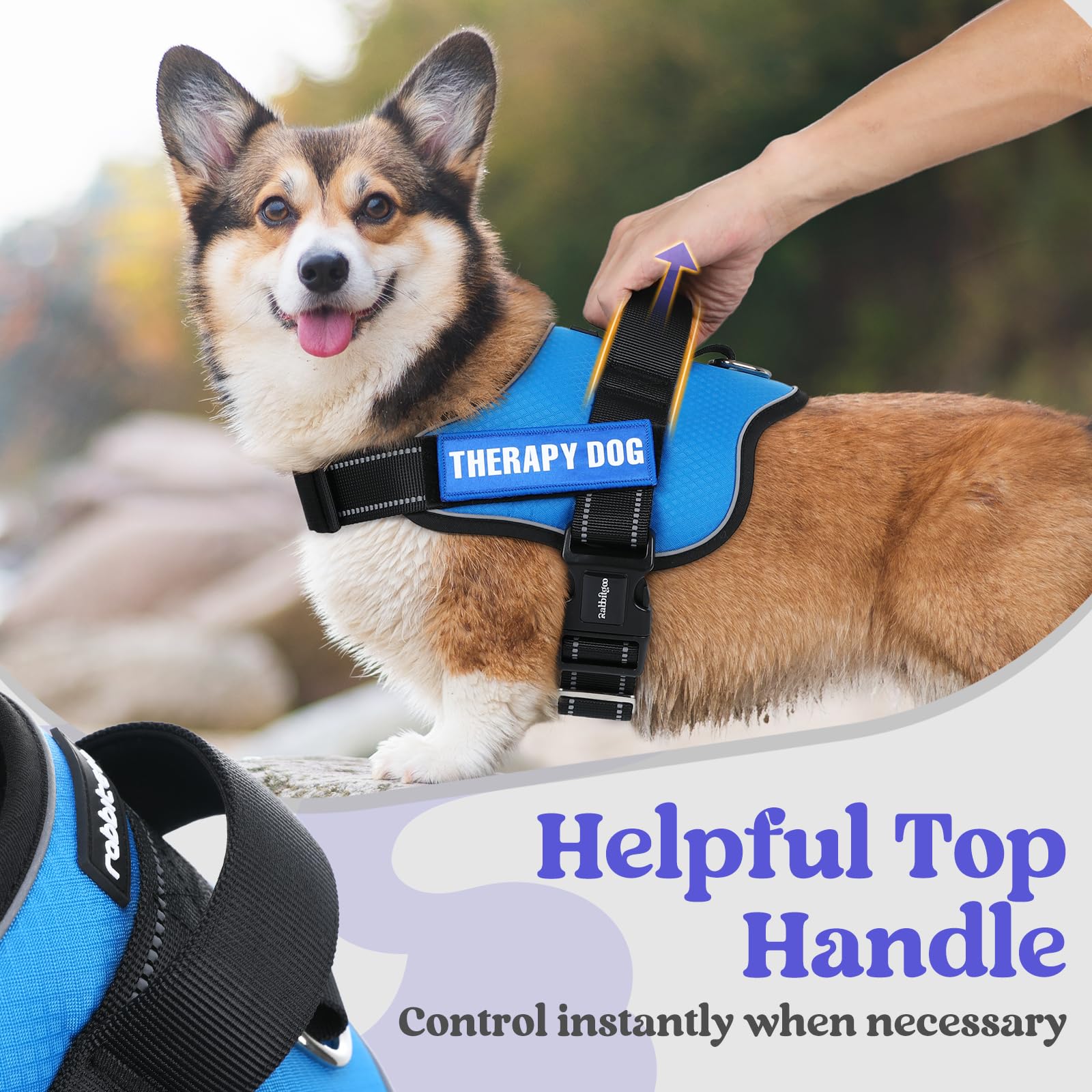 Rabbitgoo Dog Harness For Large, Easy On Pet Vest With One Buckle, No Pull Adjustable Service Harness With D-Ring & Handle, Refl