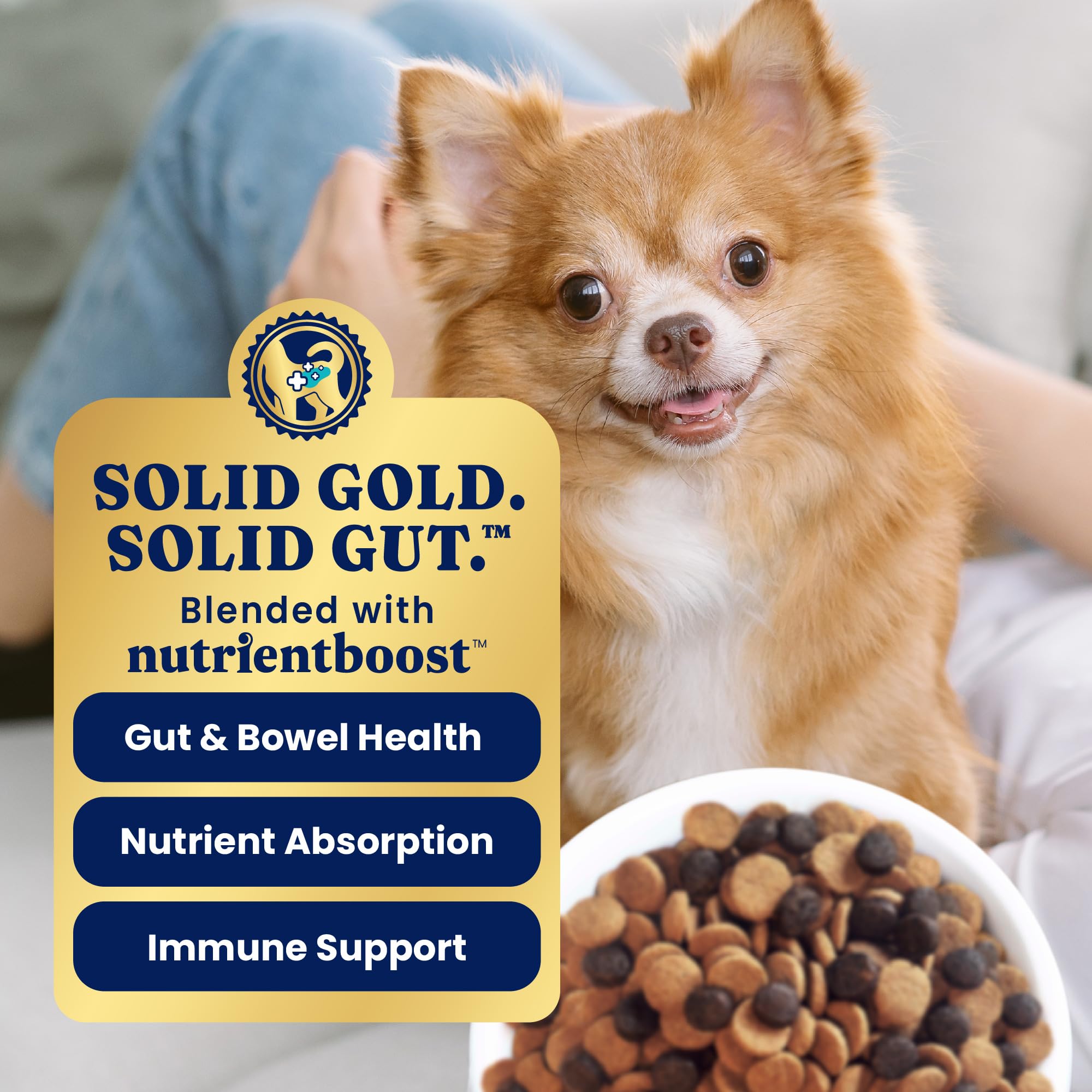 Solid Gold Toy & Small Breed Dry Dog Food Small Bites - Real Lamb, Grain Free, Gluten Free, High Fiber Healthy Kibble w/Probioti