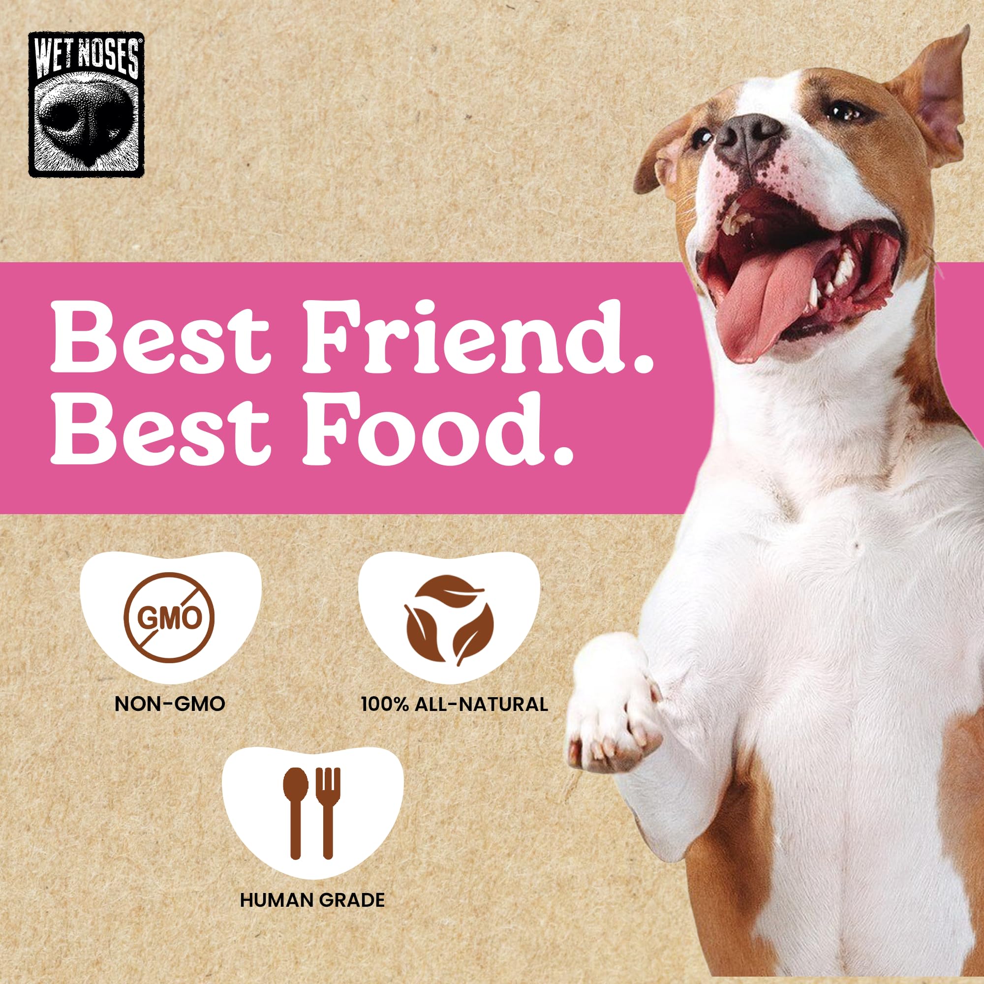 Wet Noses Moments Non-GMO Peanut Butter & Berry Crunchy Dog Treats - 14oz | No Corn, Wheat, Soy or Peas, Made with 5 Simple Ingr