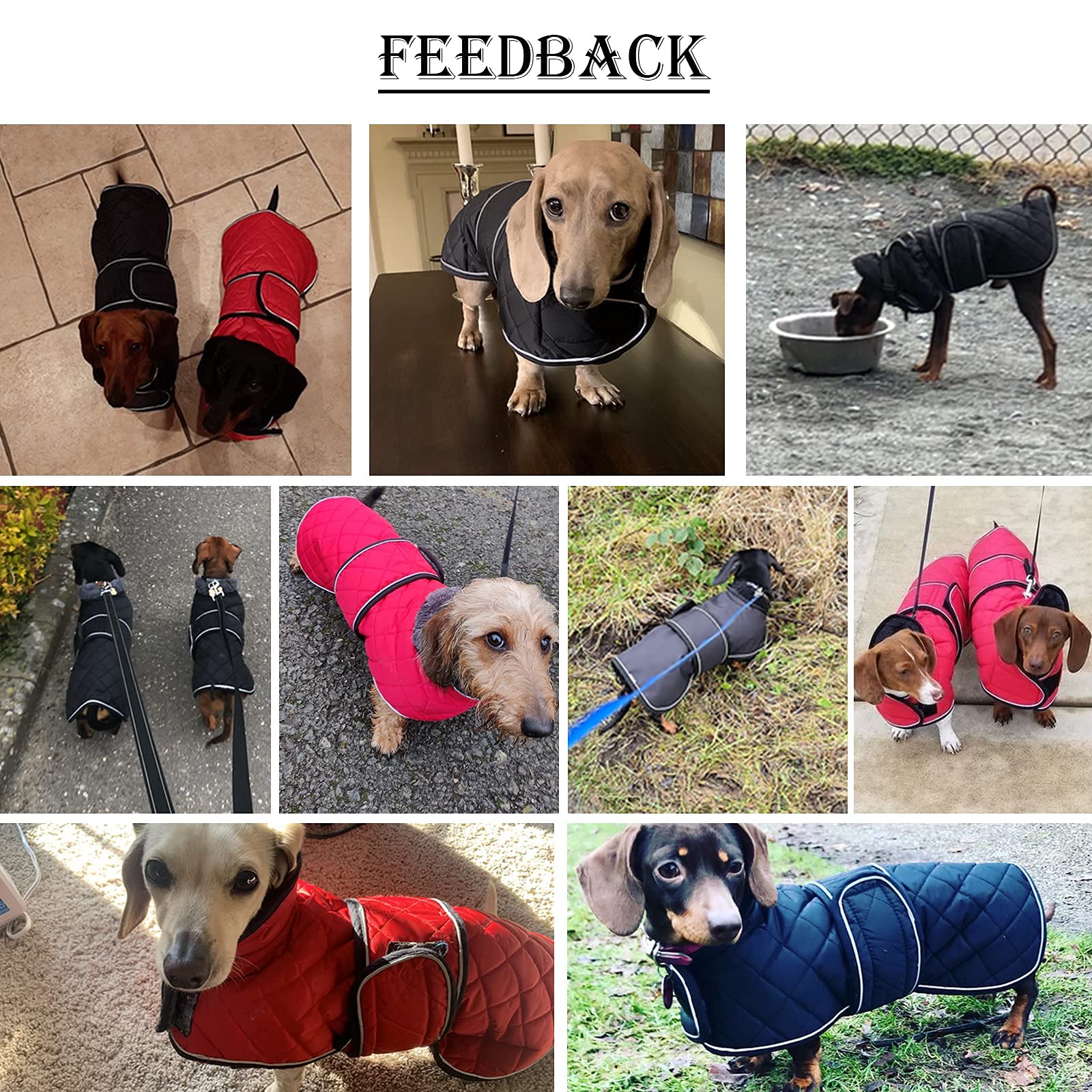 Morezi Dachshund Coats, Dachshund Coat, Coat For Dachshund, Dog Winter Coat With Padded Fleece Lining, Outdoor Dog Apparel With Adjustable Bands - Black - S
