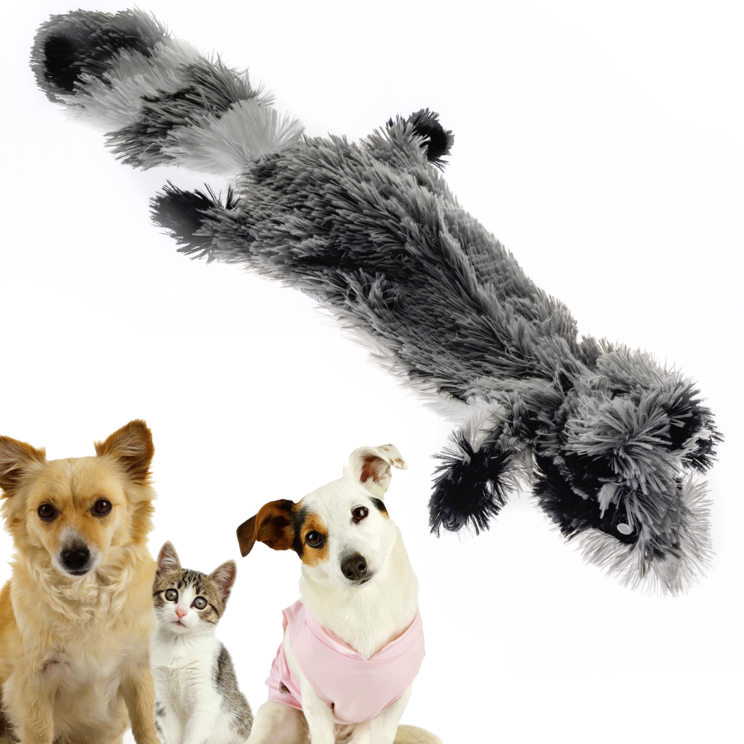 Fga Marketplace Racoon-Squirrel-Duck-Frog-Monkey Flat No Stuffing No Squeak Plush Dog Toy, Funny Style Will Entertain Your Pet F