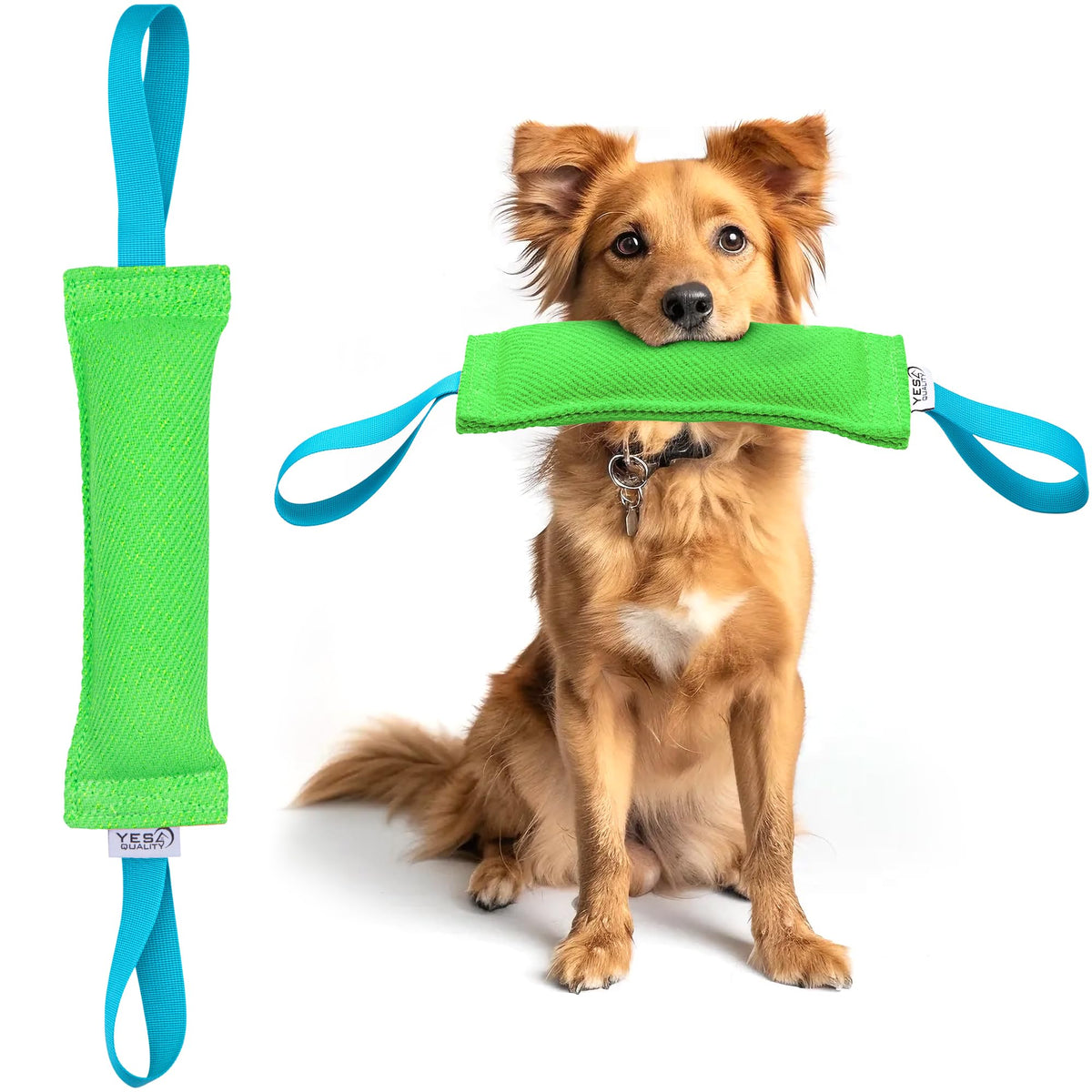 Yes4Quality Dog Bite Tug Toy (11.8'X3.5'), Durable Green Pull Toy W/ 2 Soft & Strong Blue Handles, Tough Nylon Bite Pillow For Small To Medium Dogs, Ideal For Tug Of War, Fetch, K9, Puppy Training