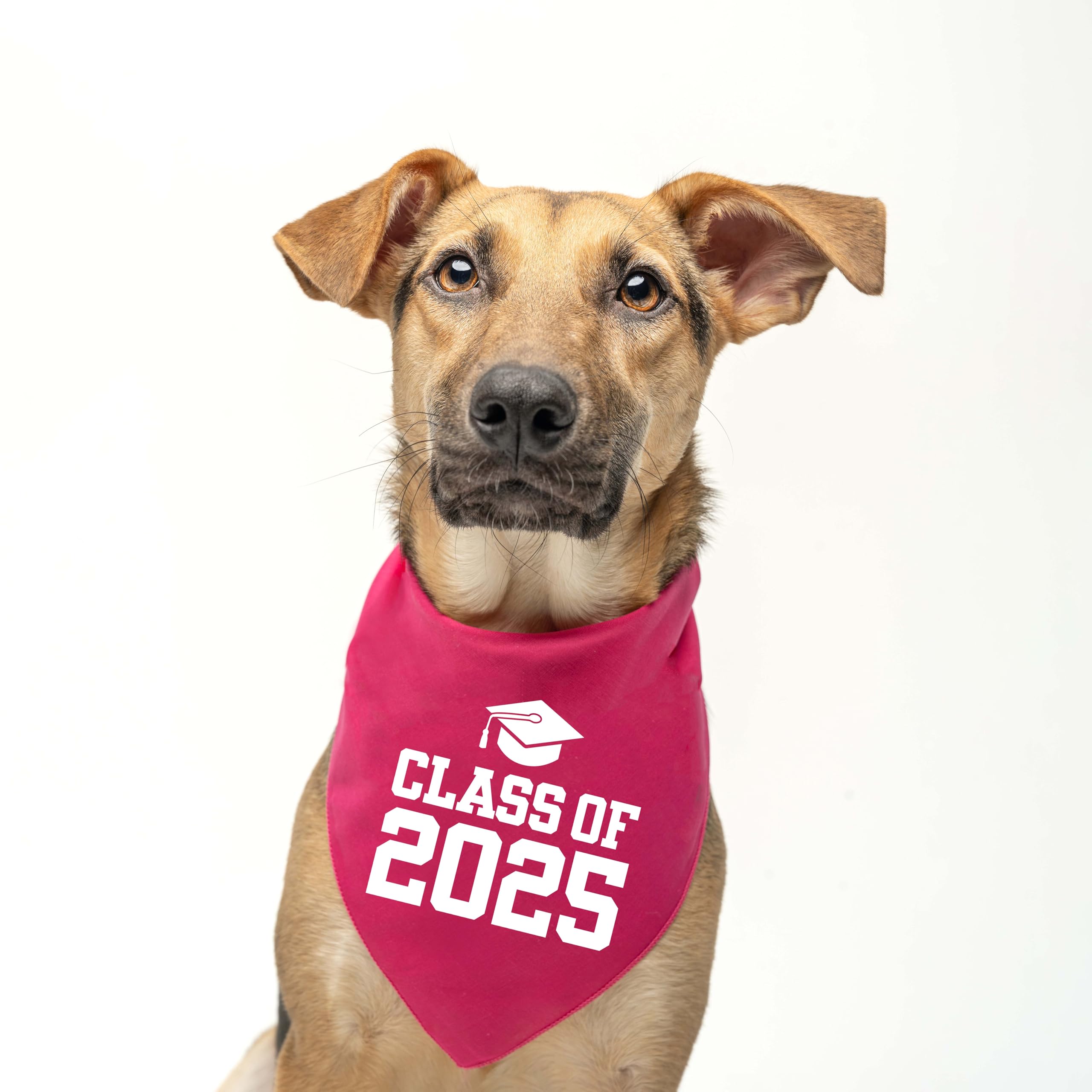 Class Of 2025 Dog Bandana | 100% Cotton Triangle | School Graduation Ceremony Party | Mom Dad Graduating Prop | 644 Red, One Siz