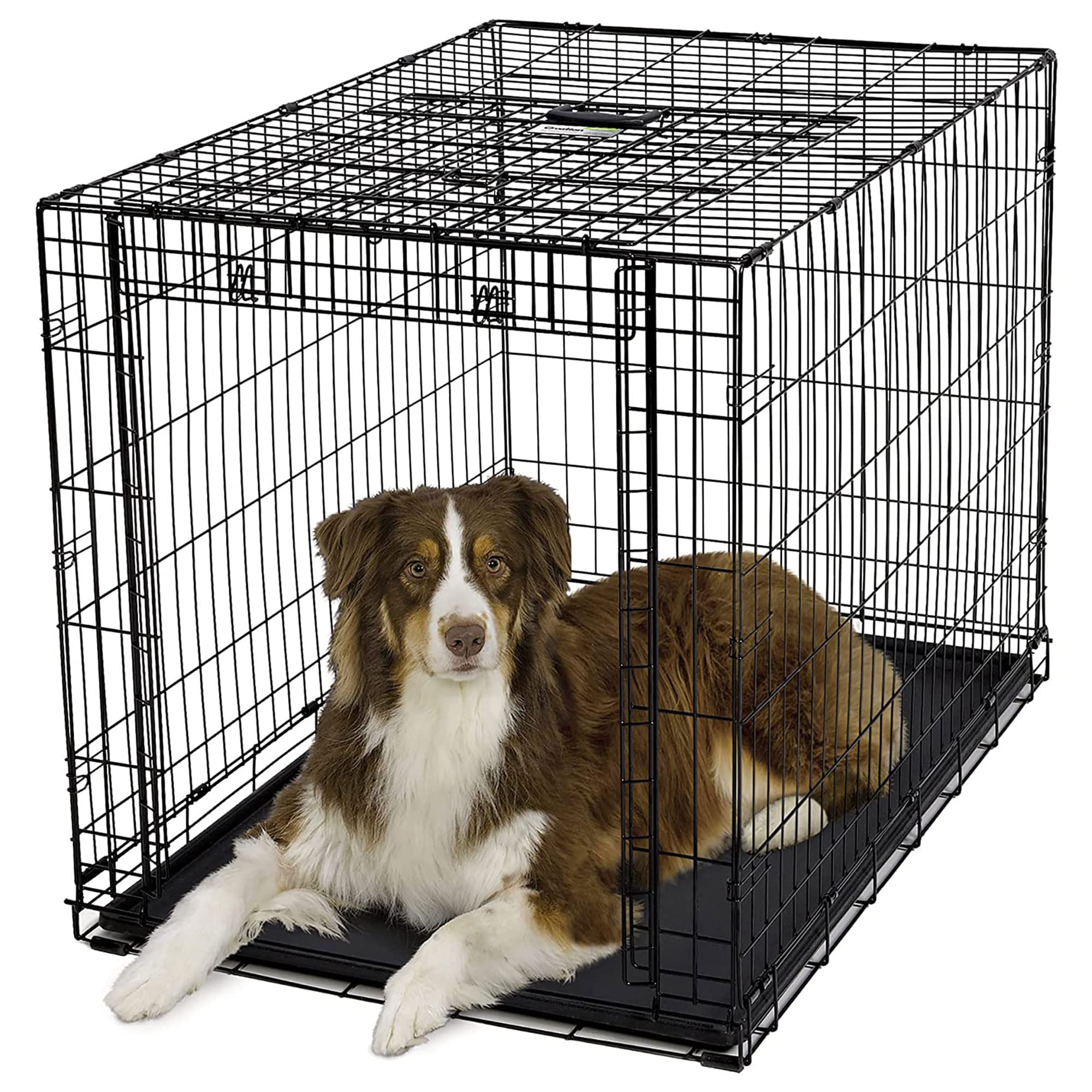 Midwest Homes For Pets Ovation Single Door Dog Crate, 42-Inch