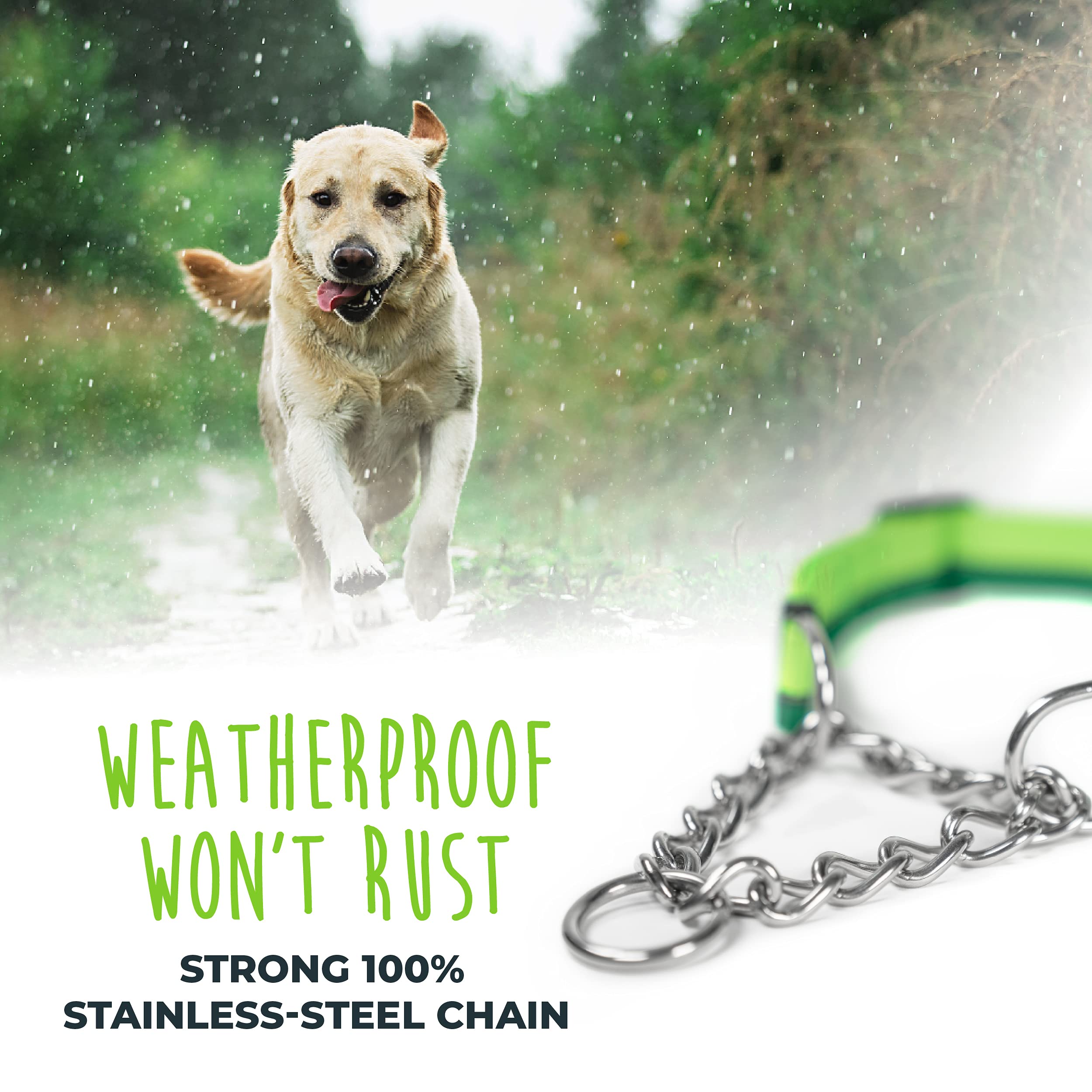Mighty Paw Martingale Dog Collar - Gentle Correction With No More Pulling - Strong 100% Stainless Steel Chain - Weatherproof Won