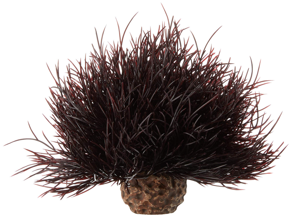 Biorb Sea Lily Crimson