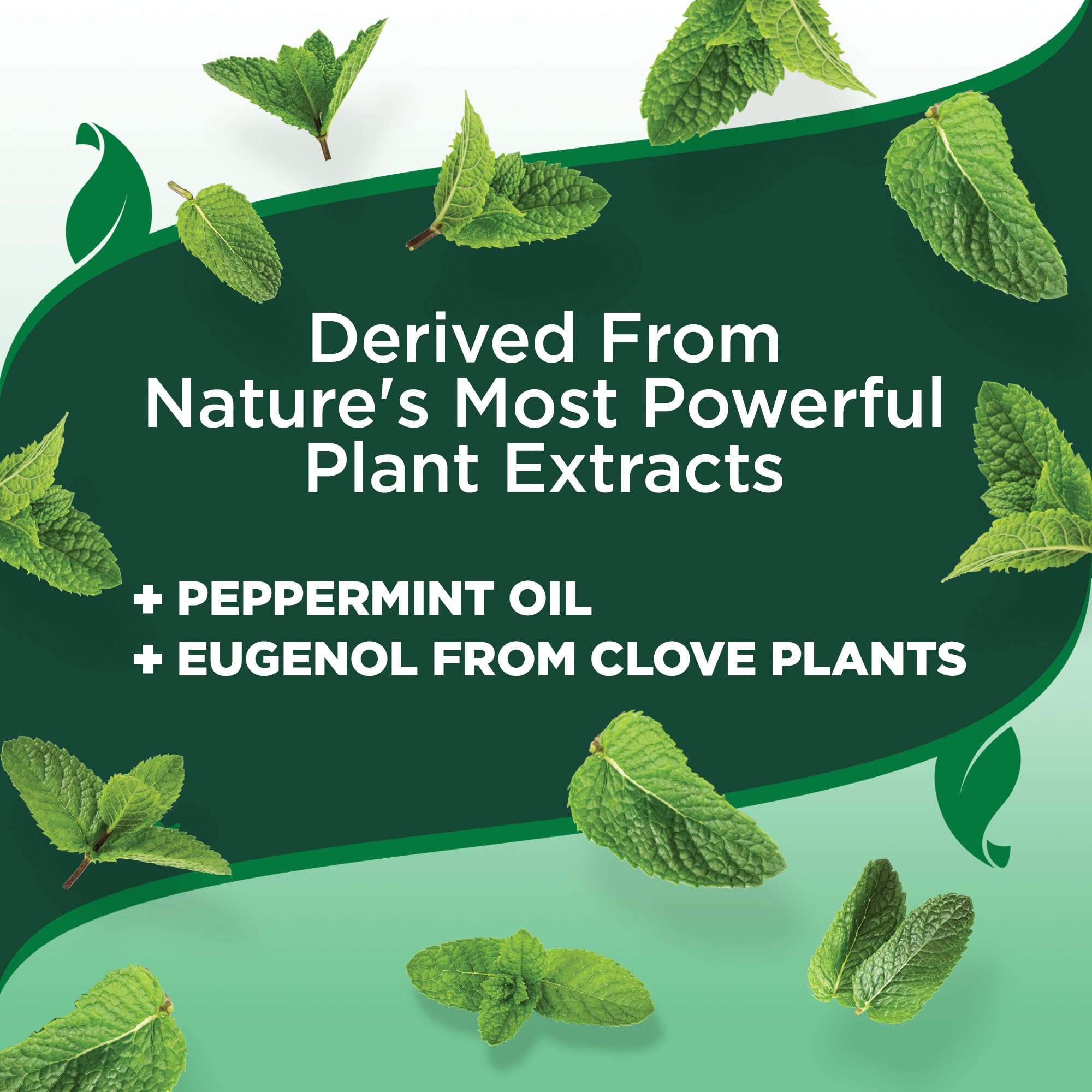 Vets Best Flea and Tick Yard and Kennel Spray - Natural Yard Treatment for Fleas, Ticks and Mosquitoes - Plant and Pet Safe Outd