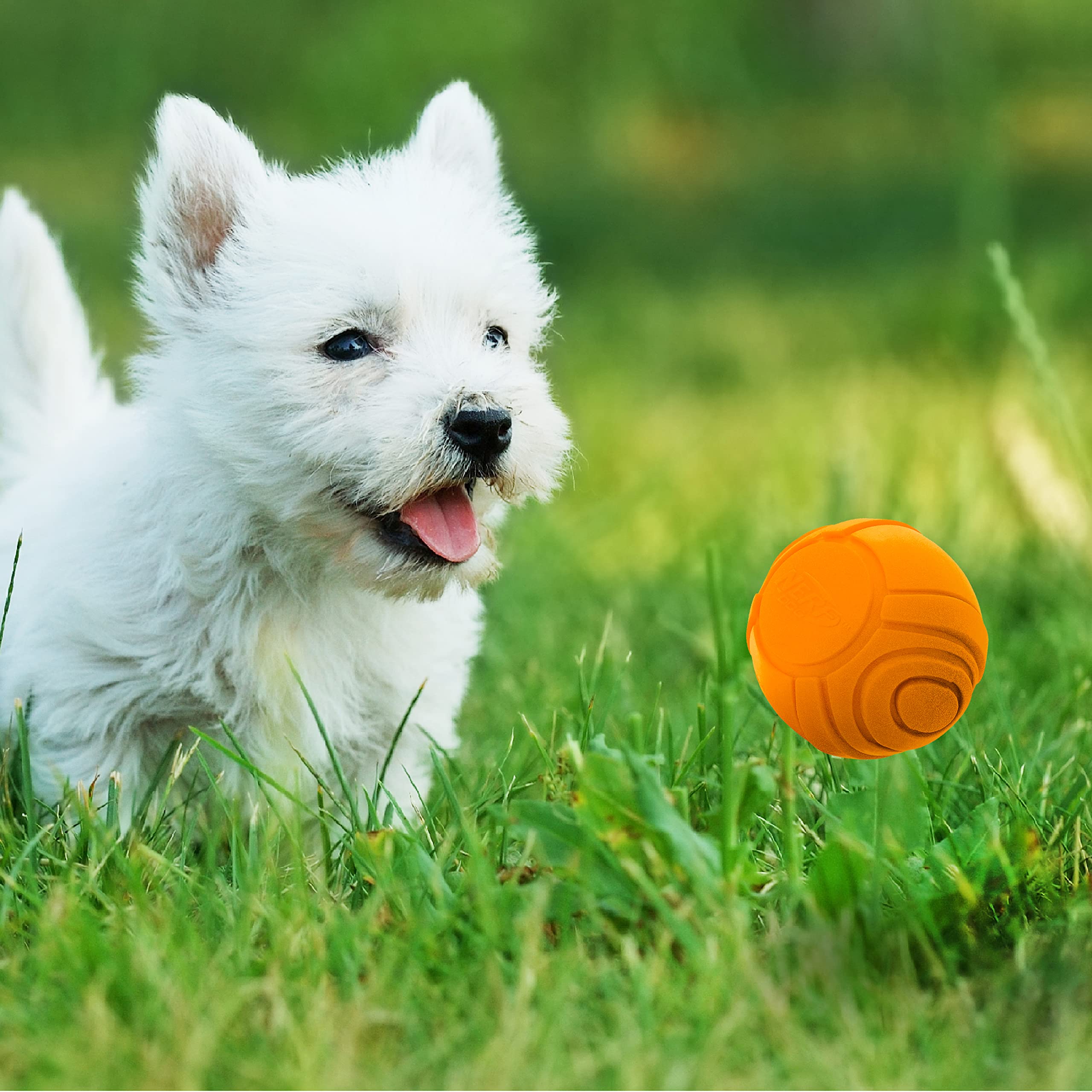 Nerf Dog Sonic Ball Dog Toys, Lightweight, Durable And Water Resistant, 2.5 Inches, For Small/Medium/Large Breeds, Two Pack, Gre