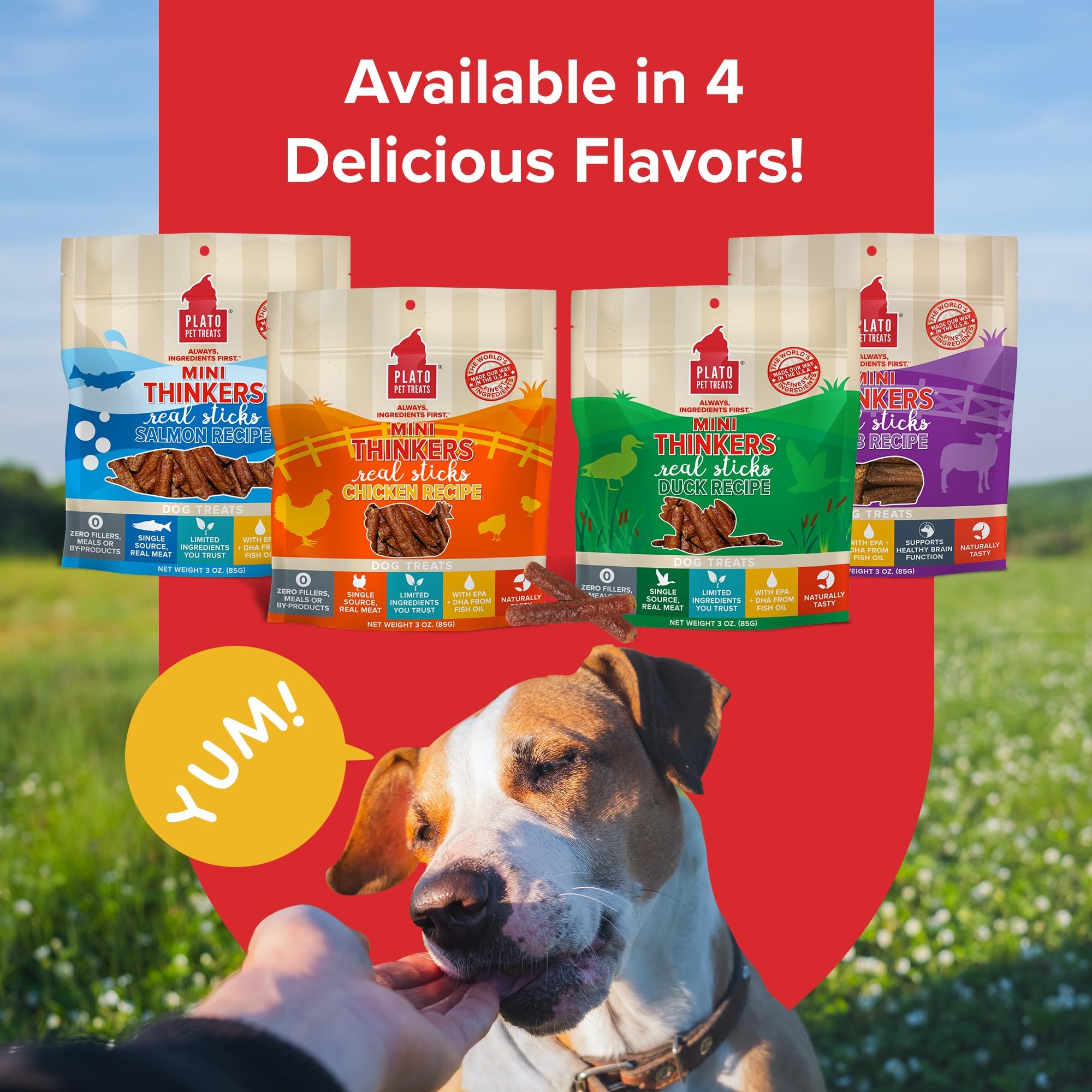 Plato Dog Mini Thinkers Chicken 6Oz