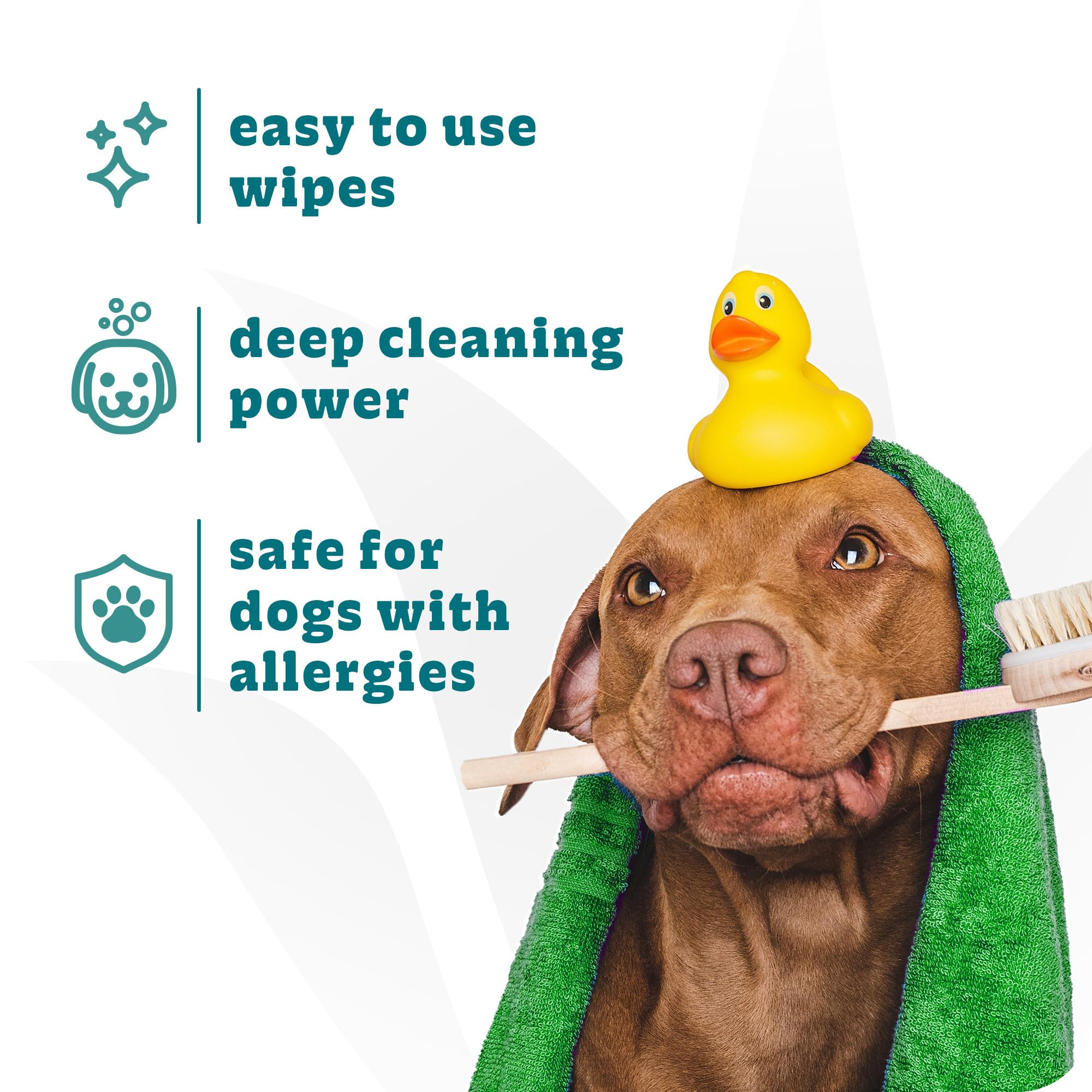 Espree Pet Hypoallergenic Aloe Wipes, Cleaning and Odor-Controlling Grooming Wipes for Paws, Cat Grooming, Dog Care, Perfect for