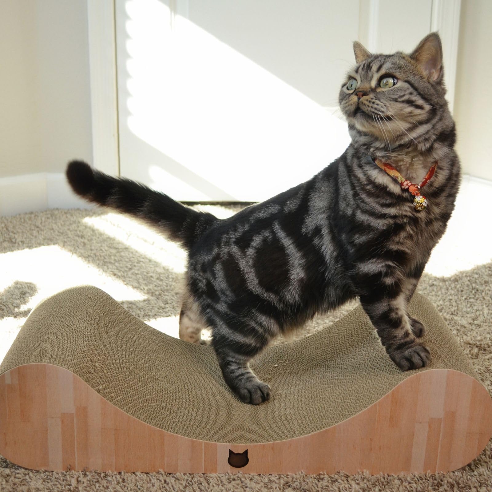 Necoichi Cardboard Cat Scratcher Bed For Indoor Cats - Cat Scratching Board, Horizontal Cat Scratch Pad Lounger With Reversible