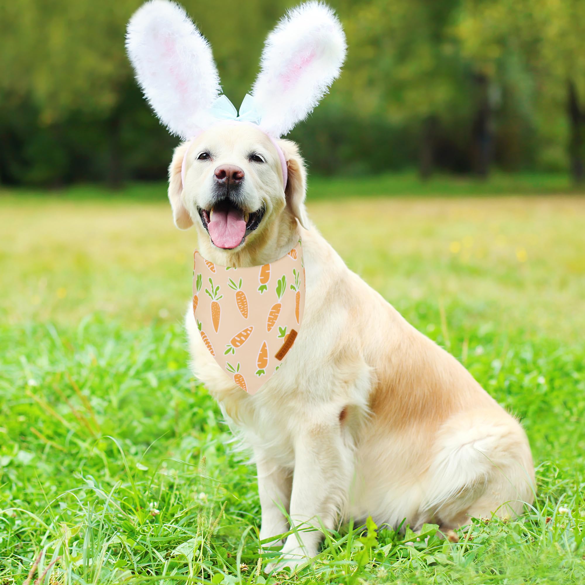 ADOGGYGO Easter Dog Bandanas, Rabbit Carrot Pet Scarf, Multi Size Offered, Orange Blue Easter Bandana for Extra Large Dogs Pets