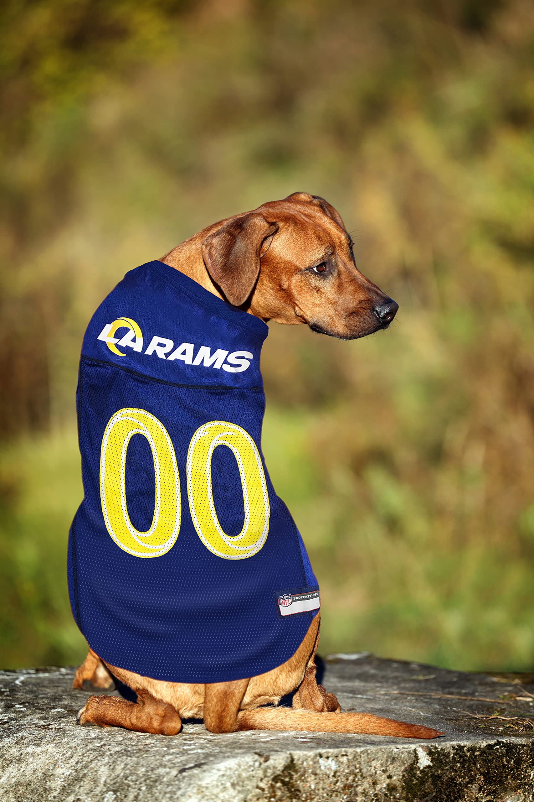 NFL Los Angeles Rams Dog Jersey, Size: Medium. Best Football Jersey Costume for Dogs & Cats. Licensed Jersey Shirt