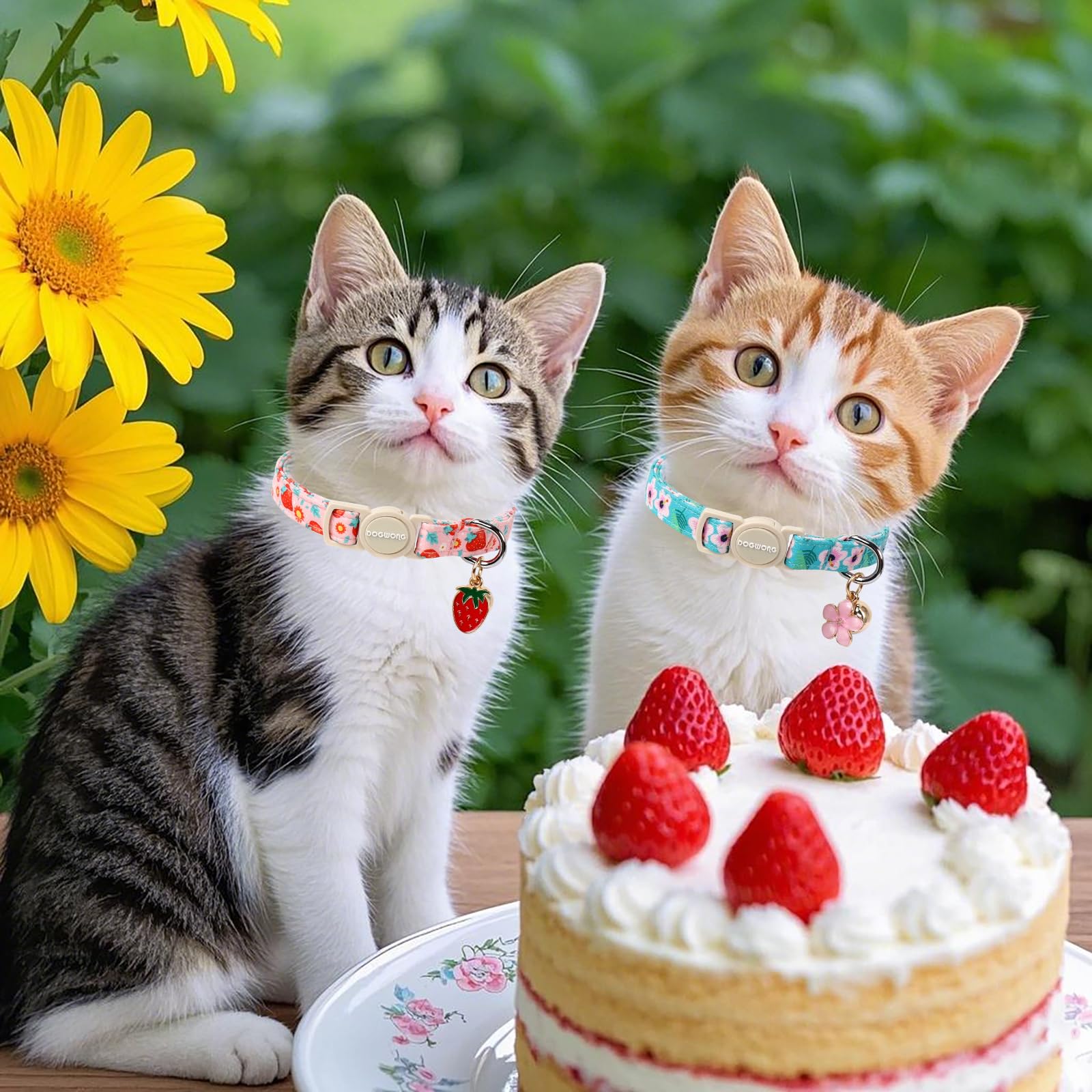 Cat Collar,2 Pack Pink Flower Cat Collars Breakaway With Bell, Dogwong Safety Buckle Pink Flower Cat Collar For Girl Female Cats