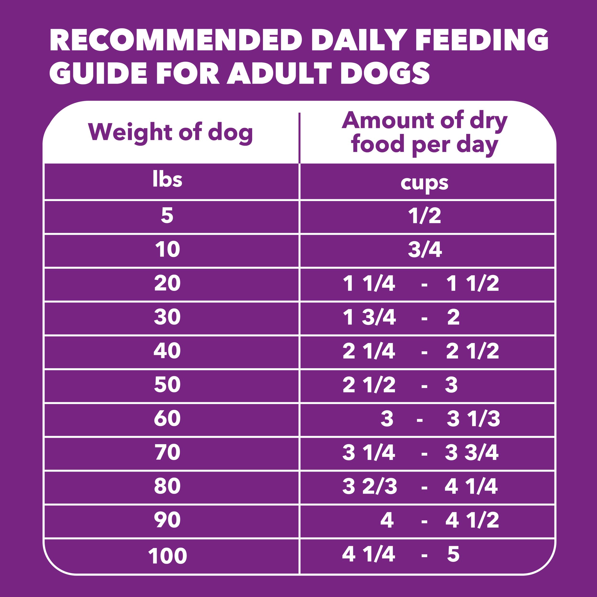 IAMS Advanced Health Skin & Coat Adult Dry Dog Food Chicken and Salmon Recipe, 6 lb. Bag