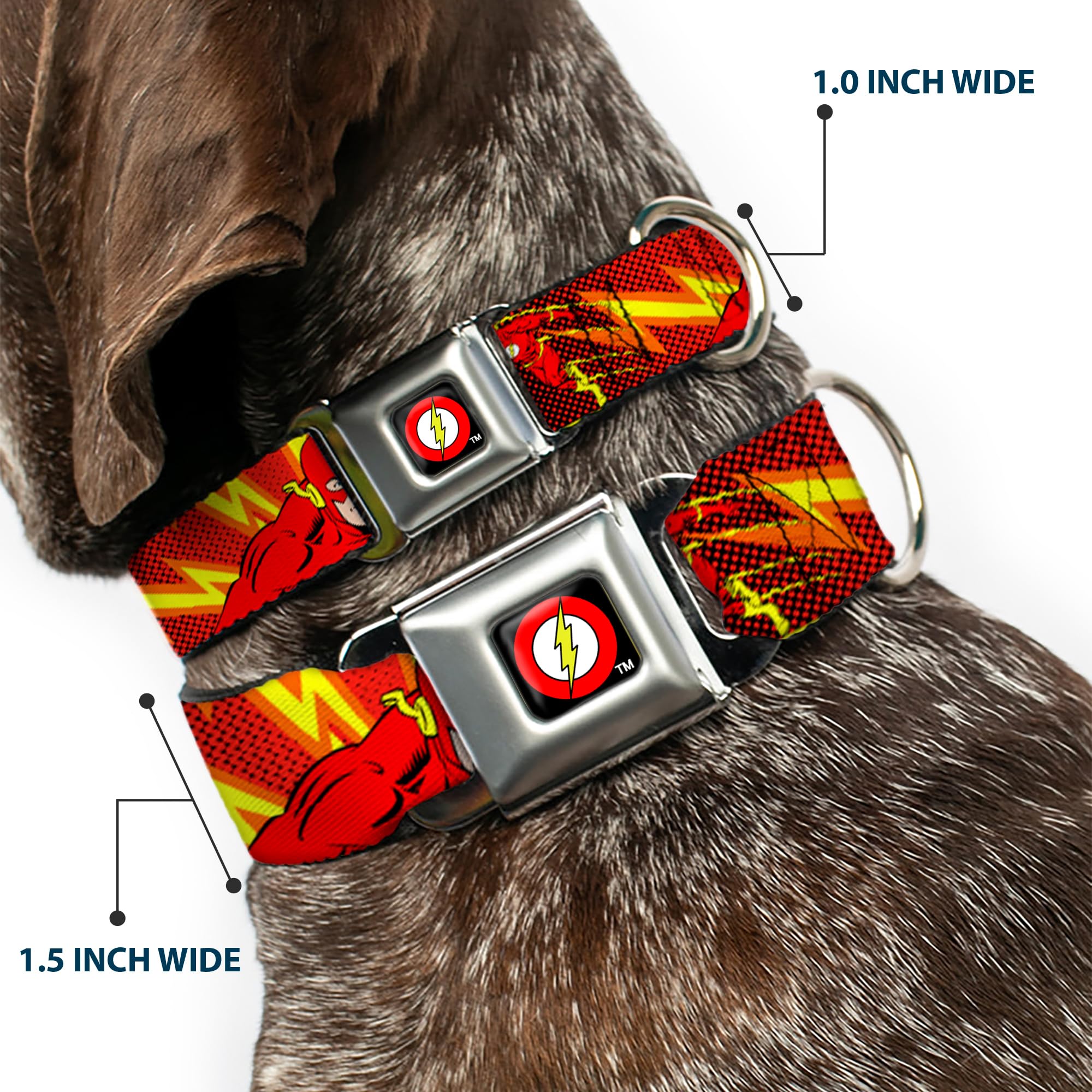 Dog Collar Seatbelt Buckle The Flash Boom Kaboom 13 To 18 Inches 1.5 Inch Wide