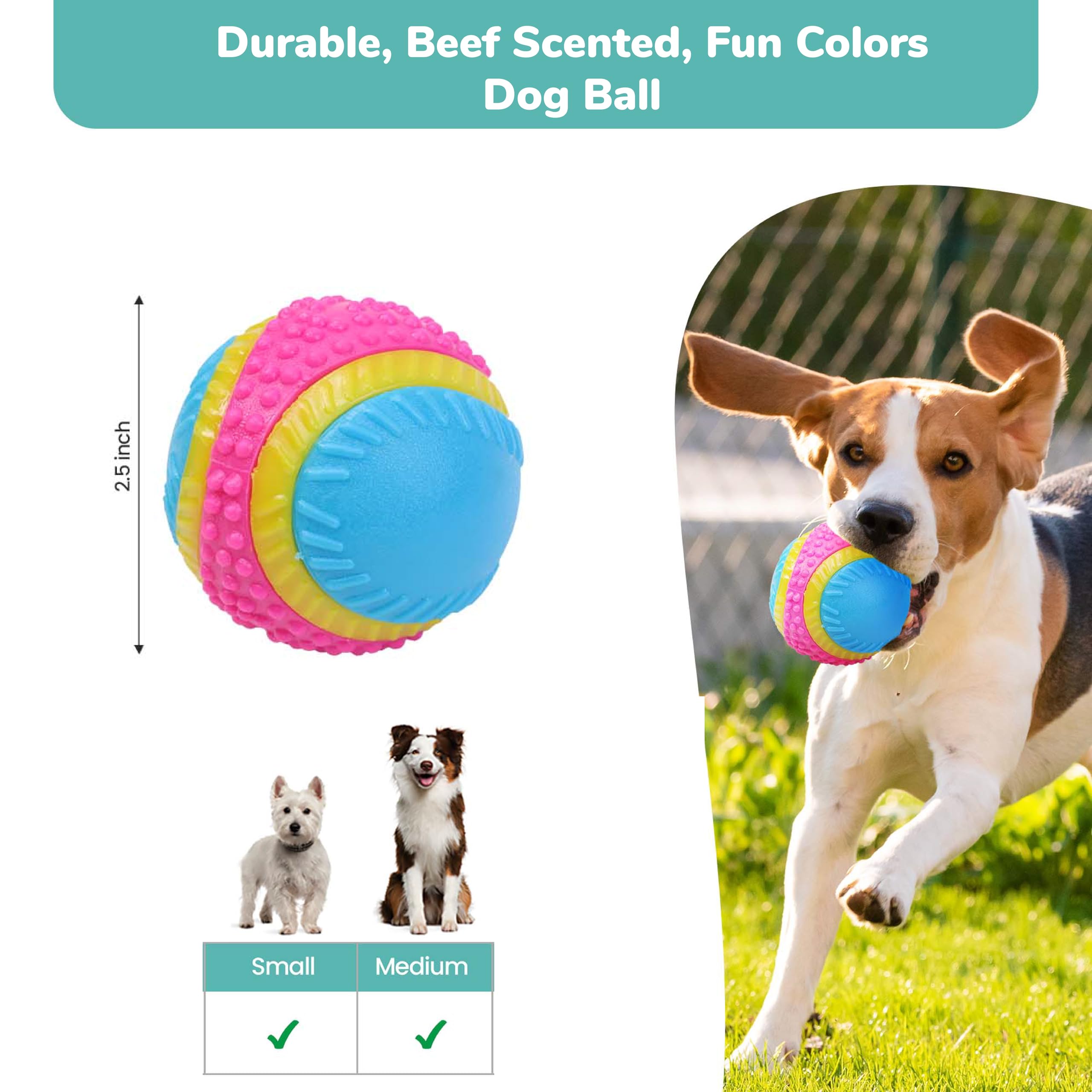 Spot Sensory Ball For Soft Chewers - Stimulates All 5 Senses, Bell & Squeaker Sounds, Raised Nubs Clean Teeth, High Contrast Fetch Toy, Beef Scented, Durable Tpr Rubber Ball, 2.5-Inch