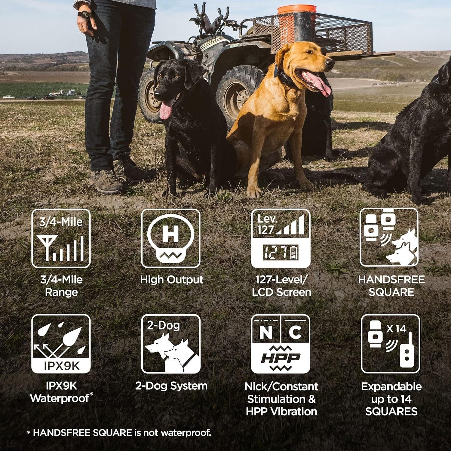 Dogtra 1902S Handsfree Plus Boost And Lock, Remote Dog Training E-Collar, Handsfree Square, 3/4-Mile Range, Rechargeable, Waterp