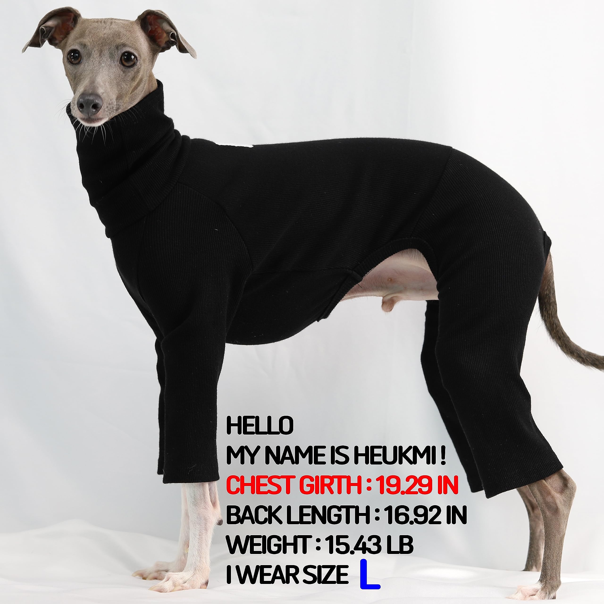 D DOGGY STAR Italian Greyhound Clothes Stretchable Onesie Whippet for Dog (L,Ribbed Black)